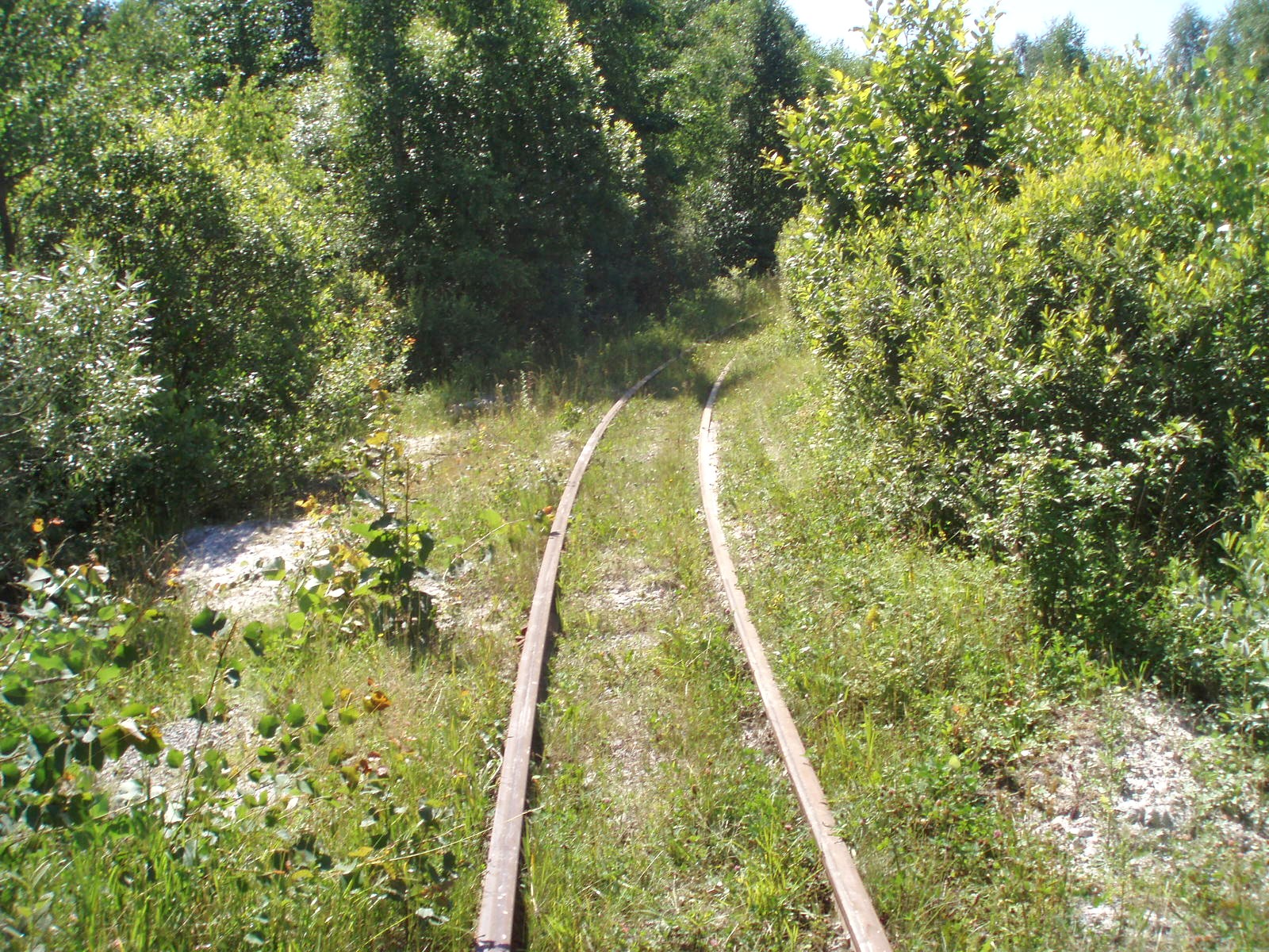 Узкоколейная железная дорога Буртынского завода огнеупоров
  —  фотографии, сделанные в 2007 году (часть 5)