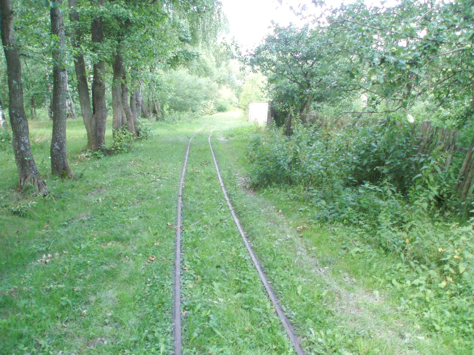 Узкоколейная железная дорога Буртынского завода огнеупоров
  —  фотографии, сделанные в 2007 году (часть 2)