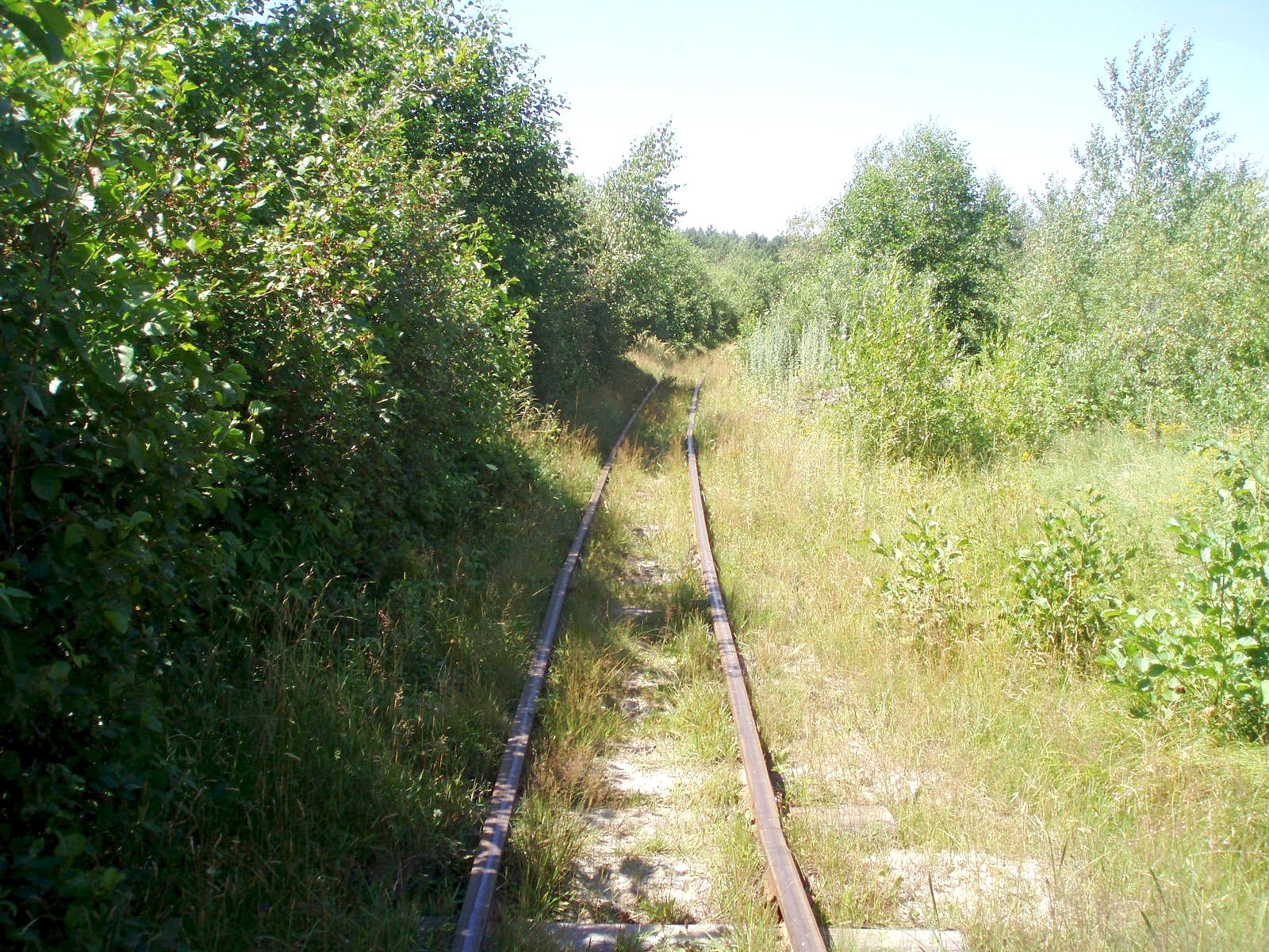 Узкоколейная железная дорога Буртынского завода огнеупоров
  —  фотографии, сделанные в 2007 году (часть 3)