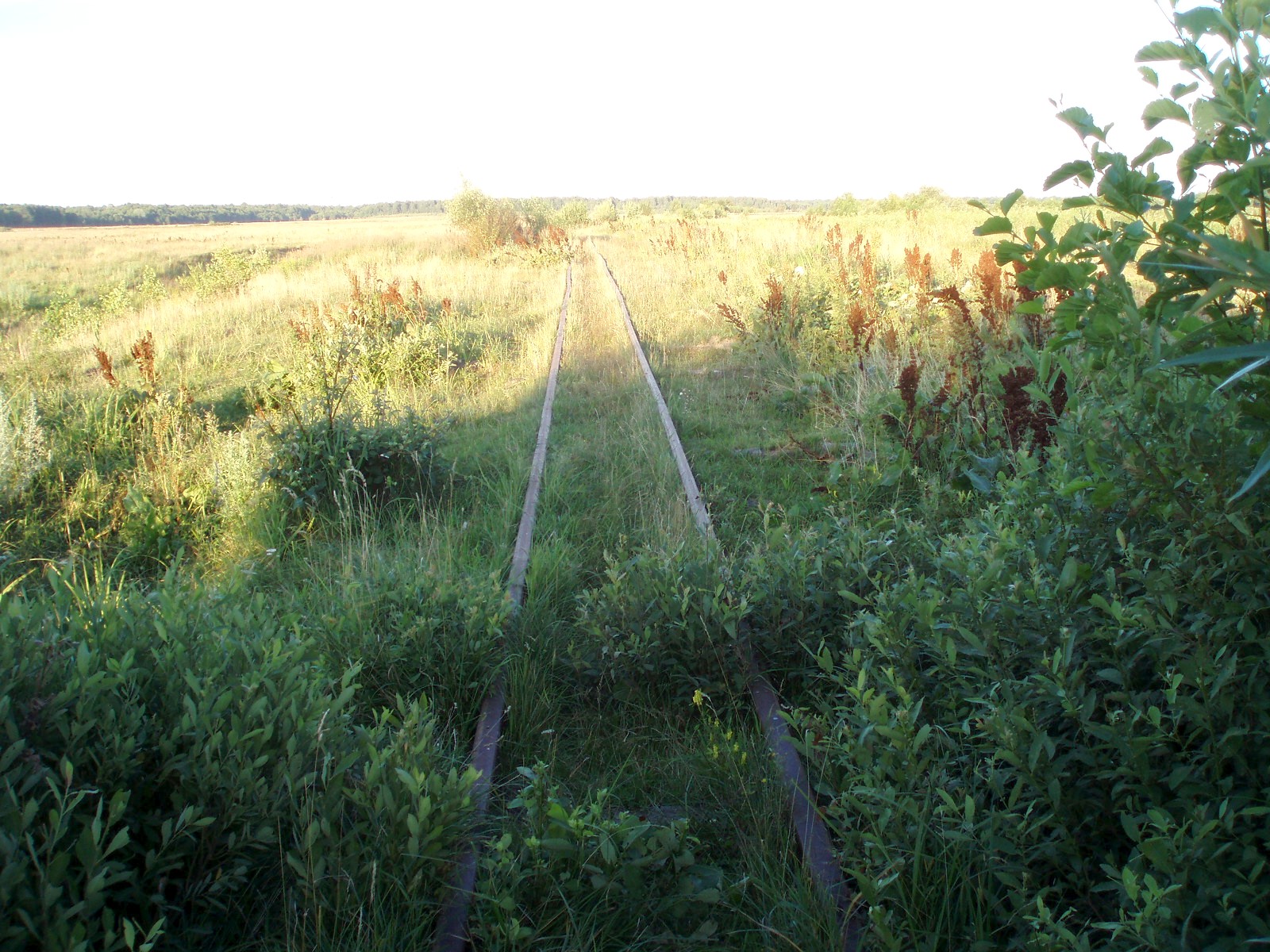 Узкоколейная железная дорога Майдан-Вильского комбината огнеупоров 
  —  фотографии, сделанные в 2007 году (часть 3)