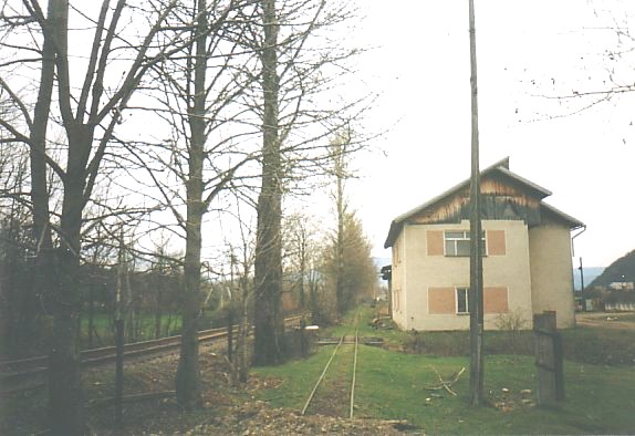 Узкоколейная железная дорога Выгодского лесокомбината  —  фотографии, сделанные в 2004 году