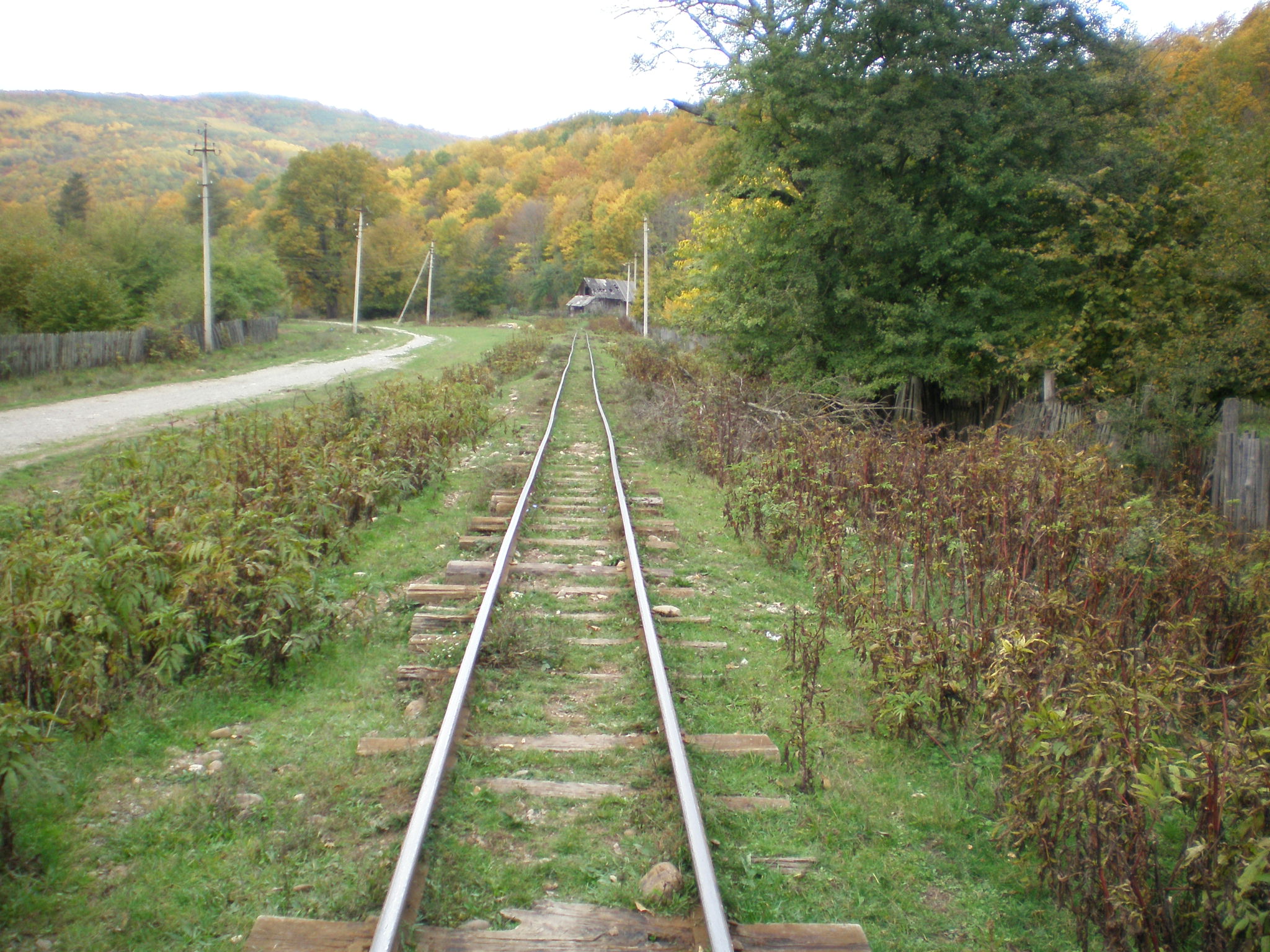 Апшеронская узкоколейная  железная дорога  —  фотографии, сделанные в 2007 году (часть 51)