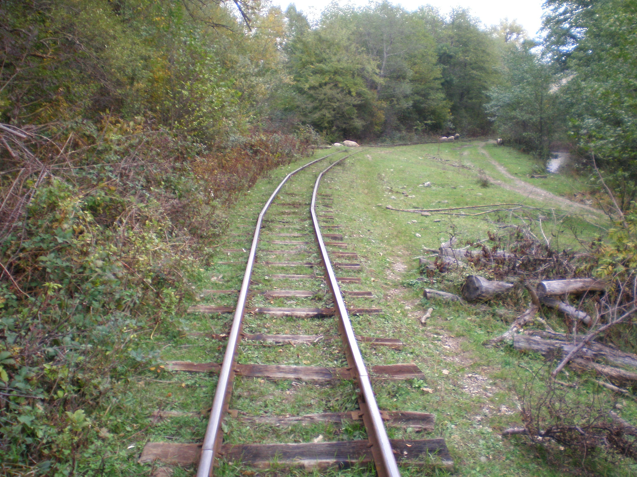 Апшеронская узкоколейная  железная дорога  —  фотографии, сделанные в 2007 году (часть 52)