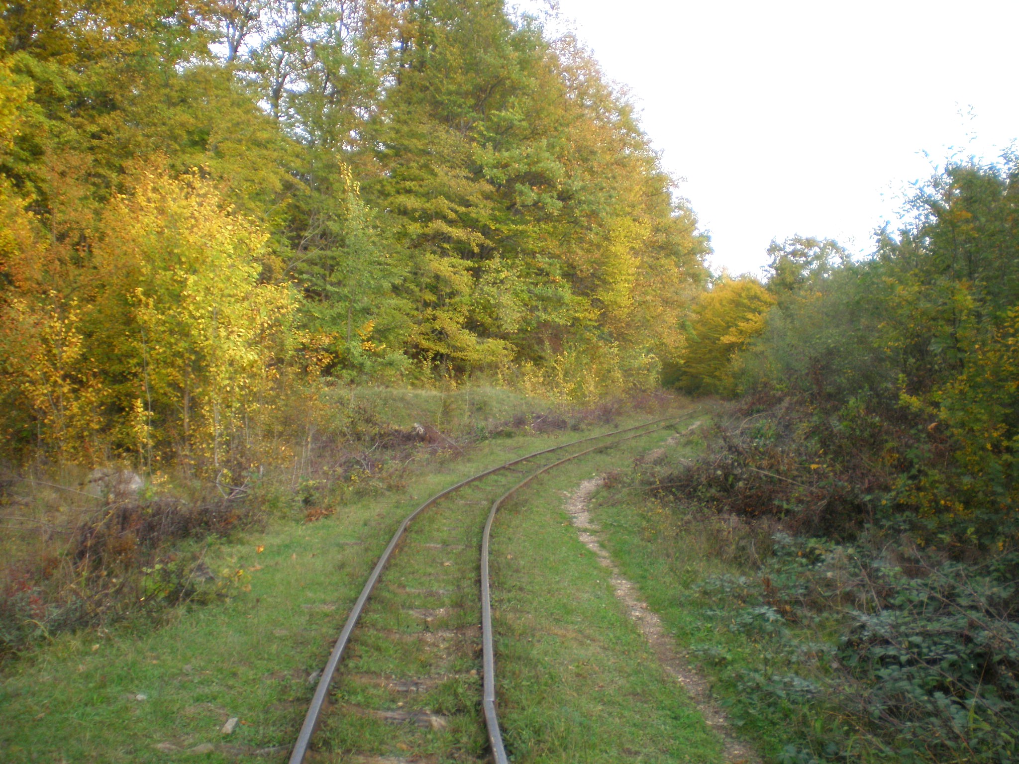 Апшеронская узкоколейная  железная дорога  —  фотографии, сделанные в 2007 году (часть 53)