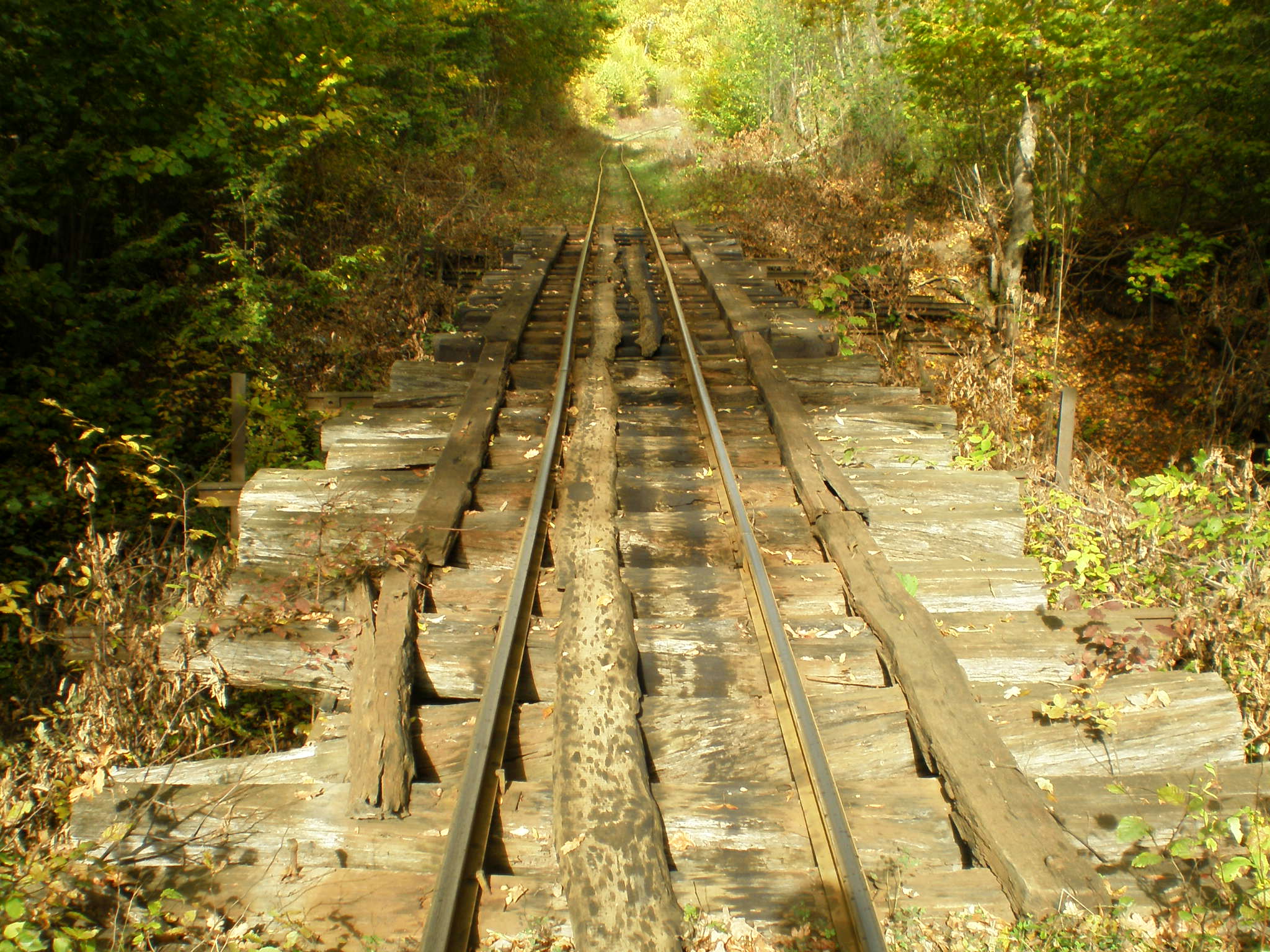 Апшеронская узкоколейная  железная дорога  —  фотографии, сделанные в 2007 году (часть 54)