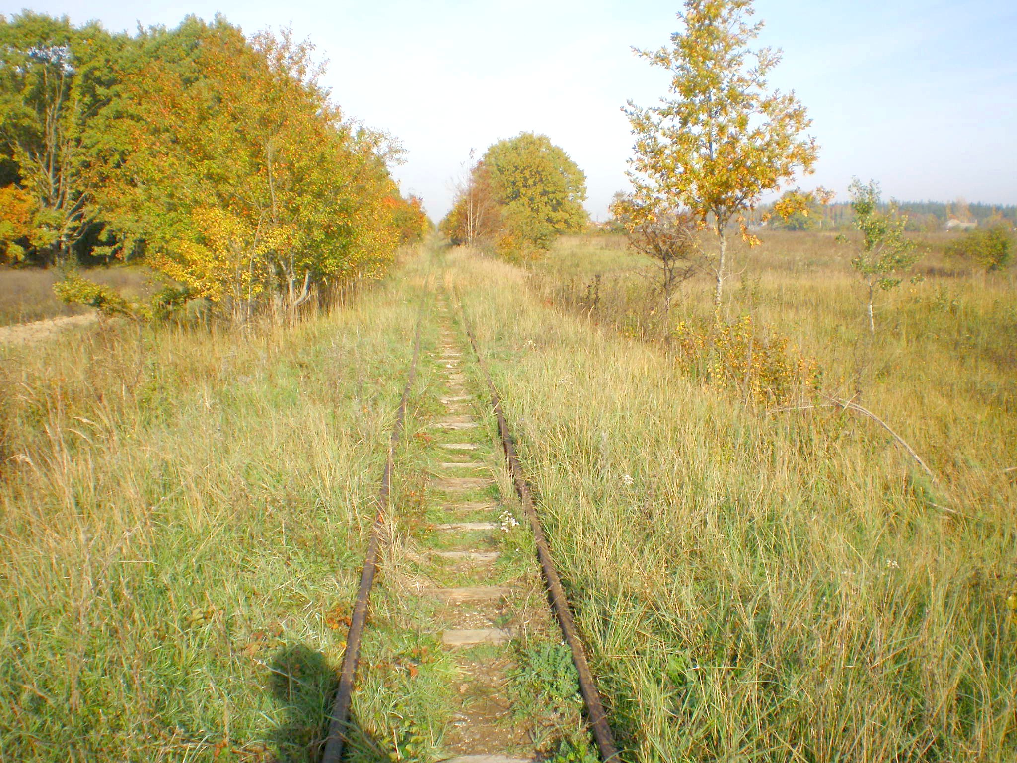 Апшеронская узкоколейная  железная дорога  —  фотографии, сделанные в 2007 году (часть 11)