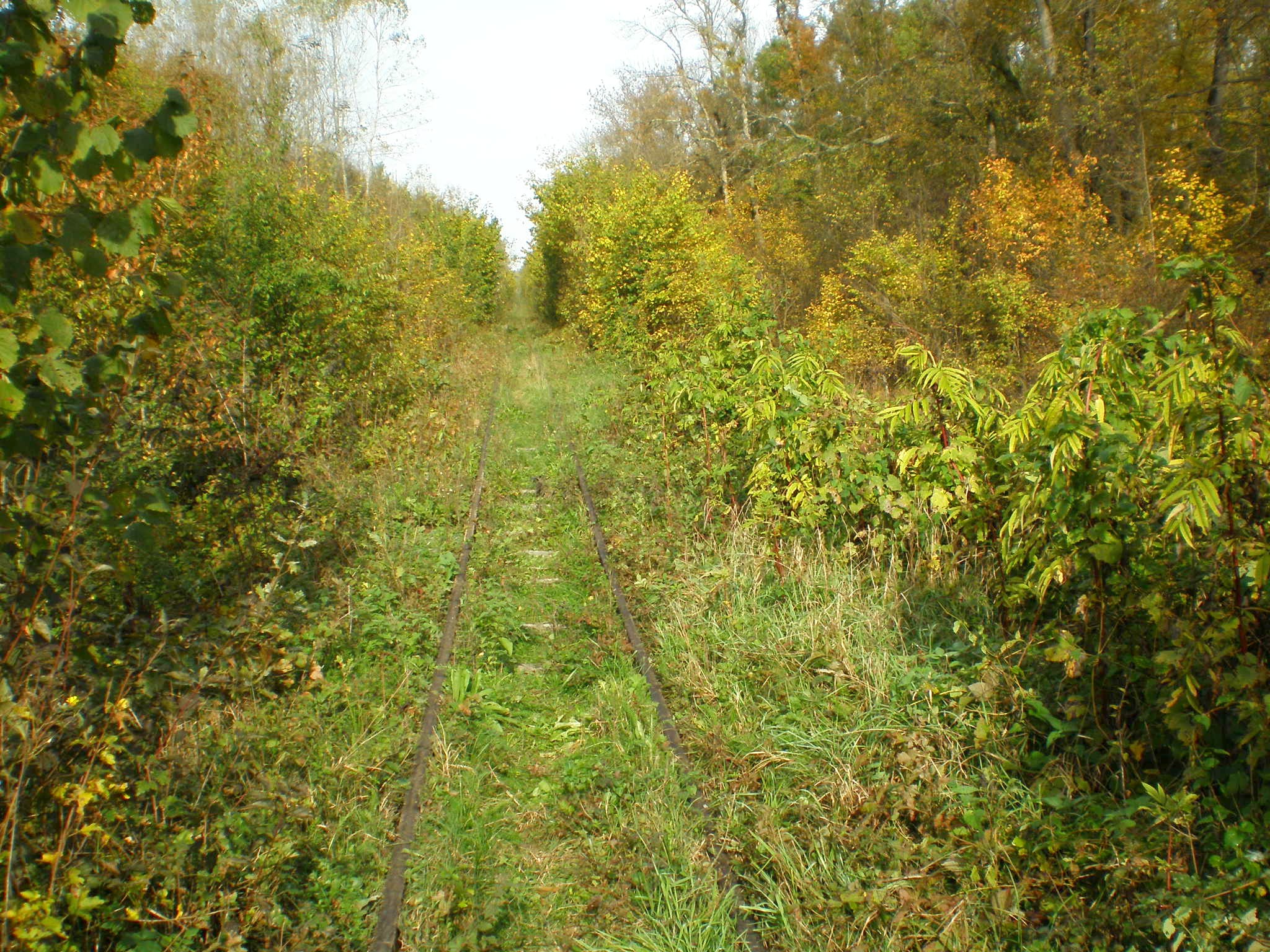 Апшеронская узкоколейная  железная дорога  —  фотографии, сделанные в 2007 году (часть 13)