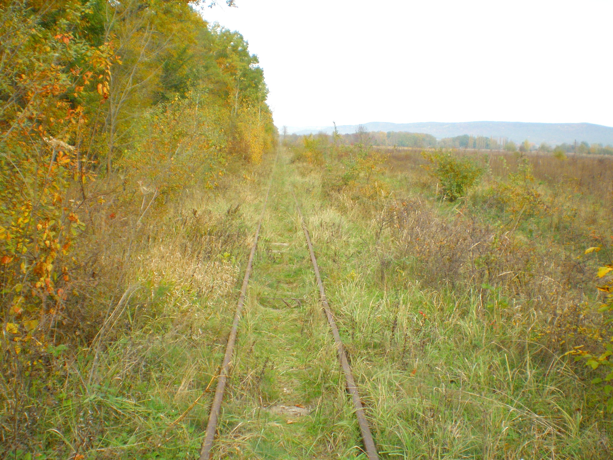 Апшеронская узкоколейная  железная дорога  —  фотографии, сделанные в 2007 году (часть 14)