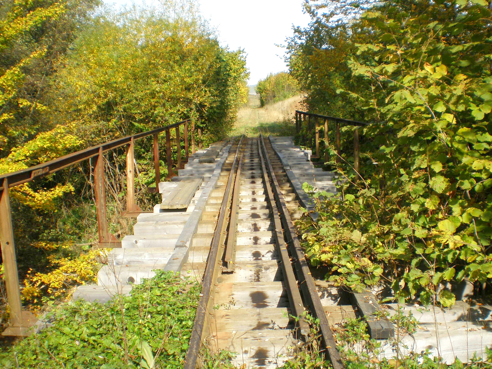 Апшеронская узкоколейная  железная дорога  —  фотографии, сделанные в 2007 году (часть 16)