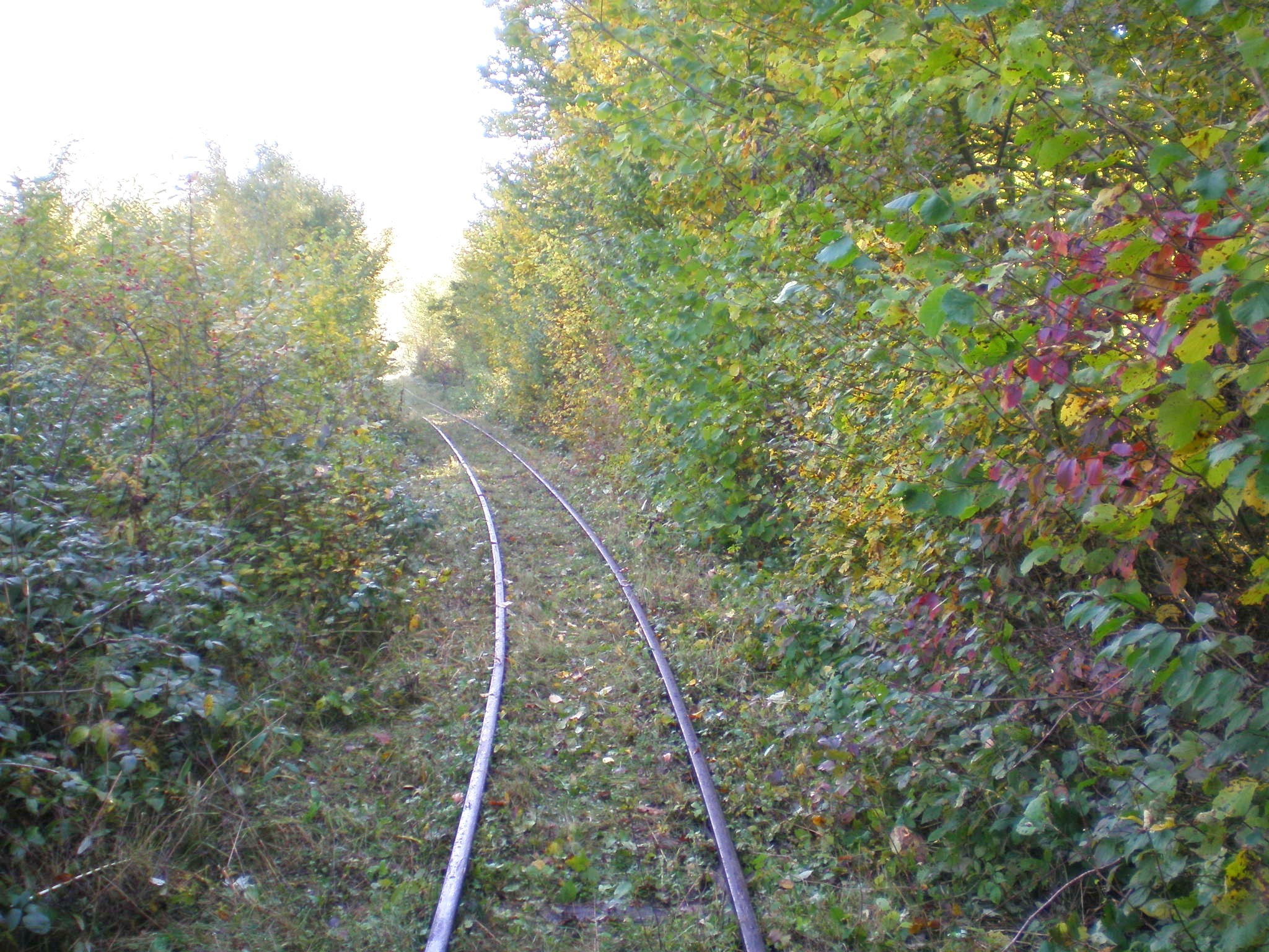 Апшеронская узкоколейная  железная дорога  —  фотографии, сделанные в 2007 году (часть 18)