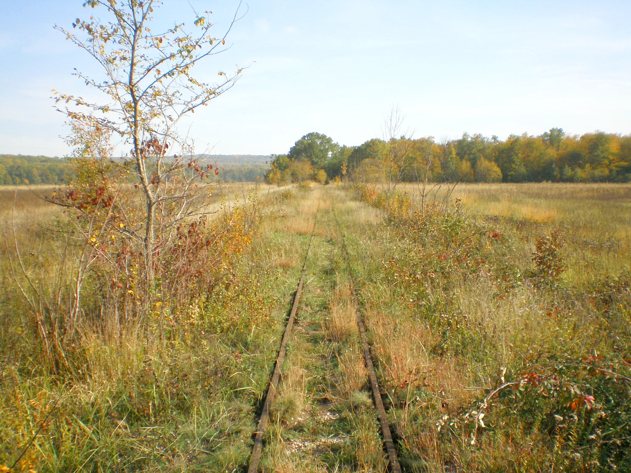 Апшеронская узкоколейная  железная дорога  —  фотографии, сделанные в 2007 году (часть 21)