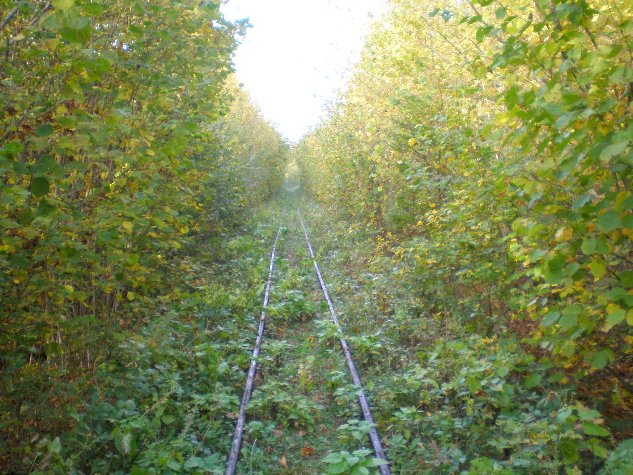 Апшеронская узкоколейная  железная дорога  —  фотографии, сделанные в 2007 году (часть 23)