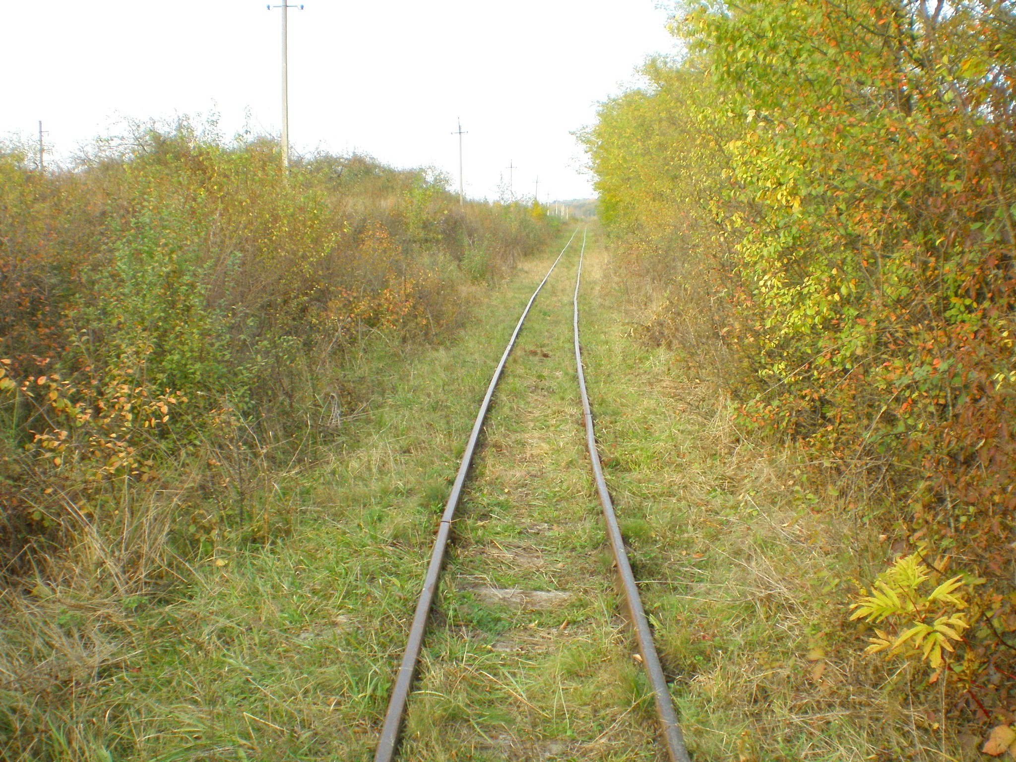 Апшеронская узкоколейная  железная дорога  —  фотографии, сделанные в 2007 году (часть 25)