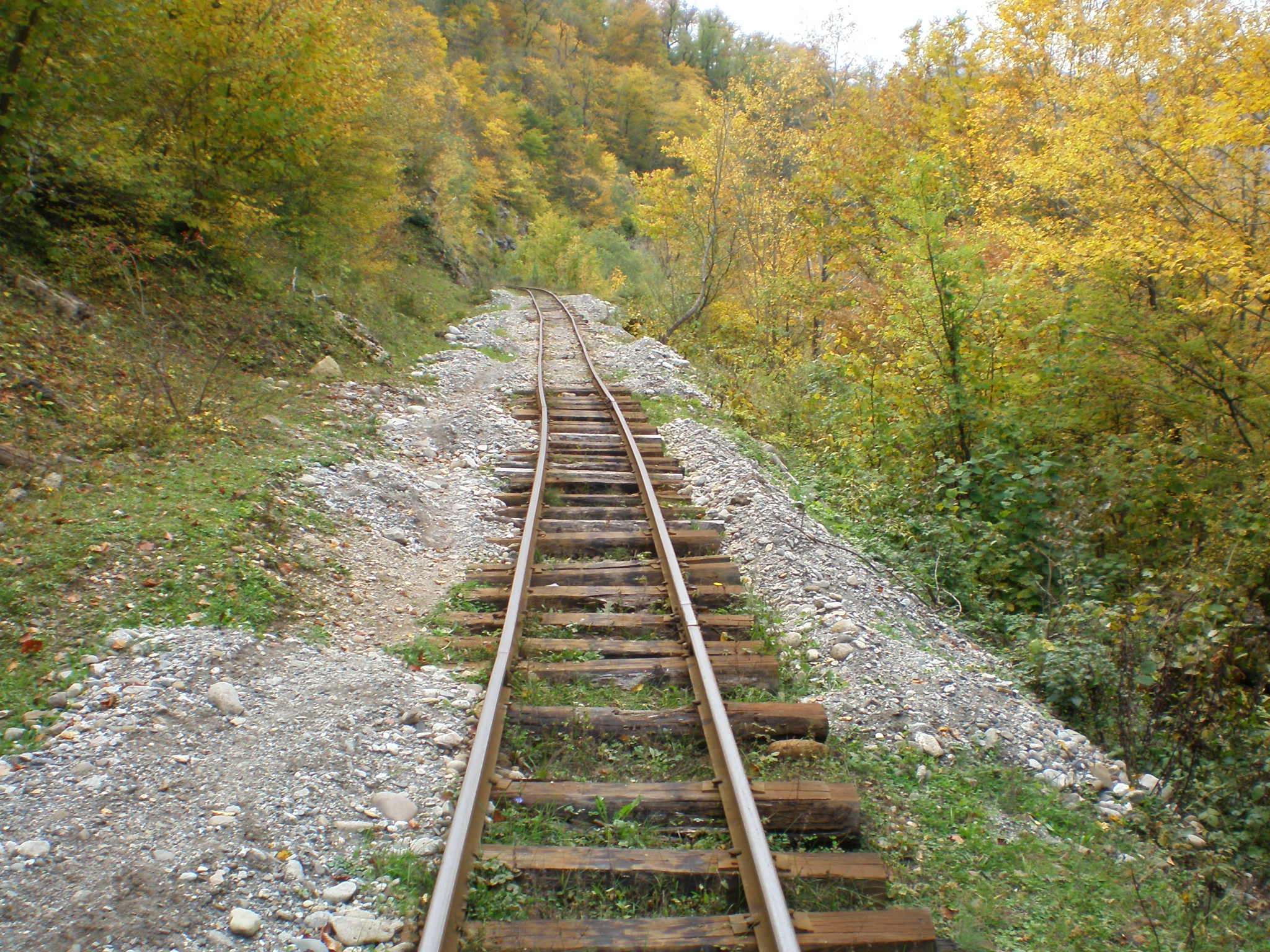 Апшеронская узкоколейная  железная дорога  —  фотографии, сделанные в 2007 году (часть 48)
