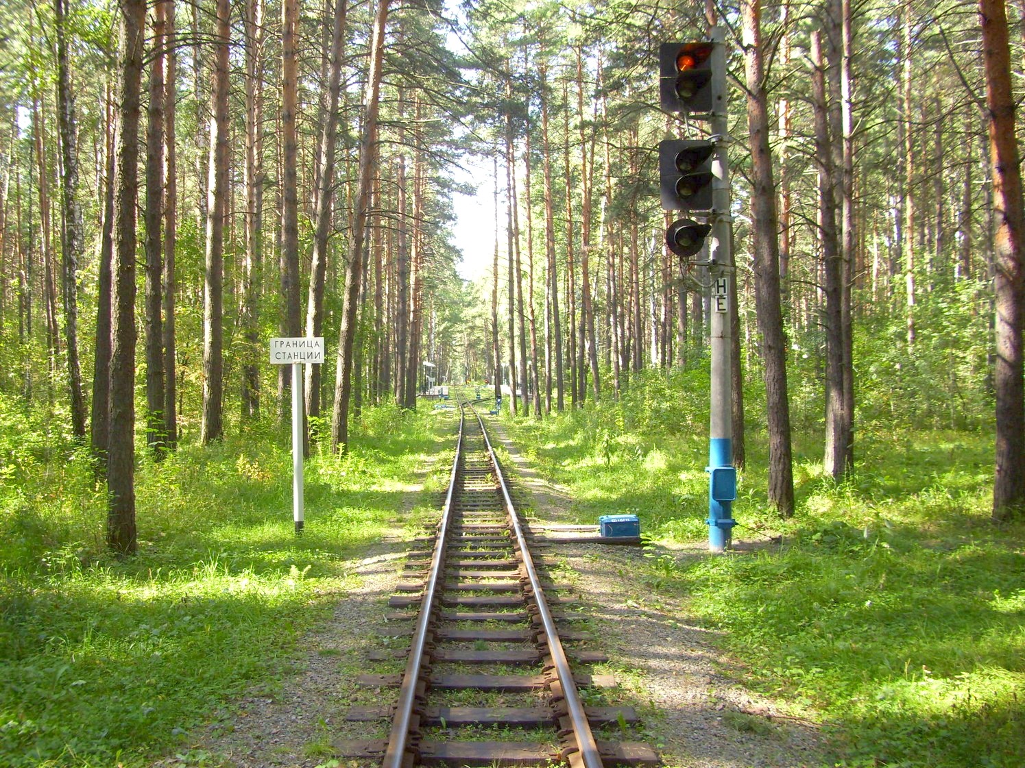 Малая Западно-Сибирская (Новосибирская) детская железная дорога  —  фотографии, сделанные в 2009 году (часть 5)