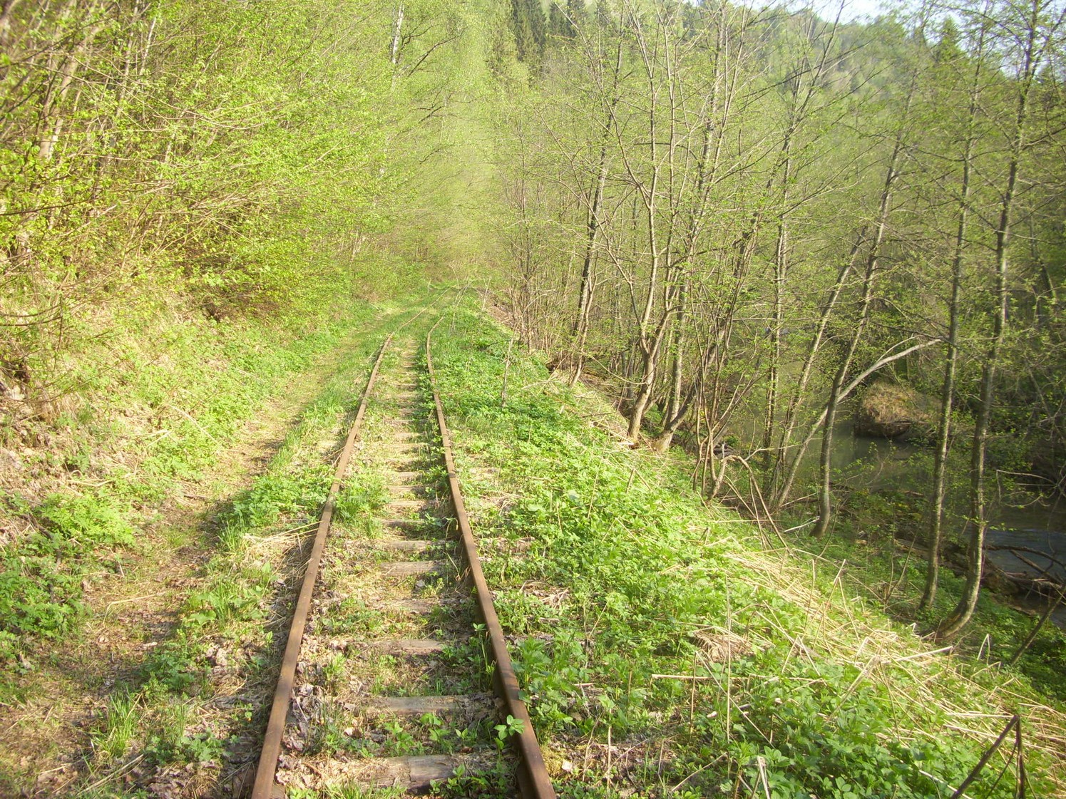 Яман-Елгинская узкоколейная железная дорога — фотографии, сделанные в 2010 году (часть 8)