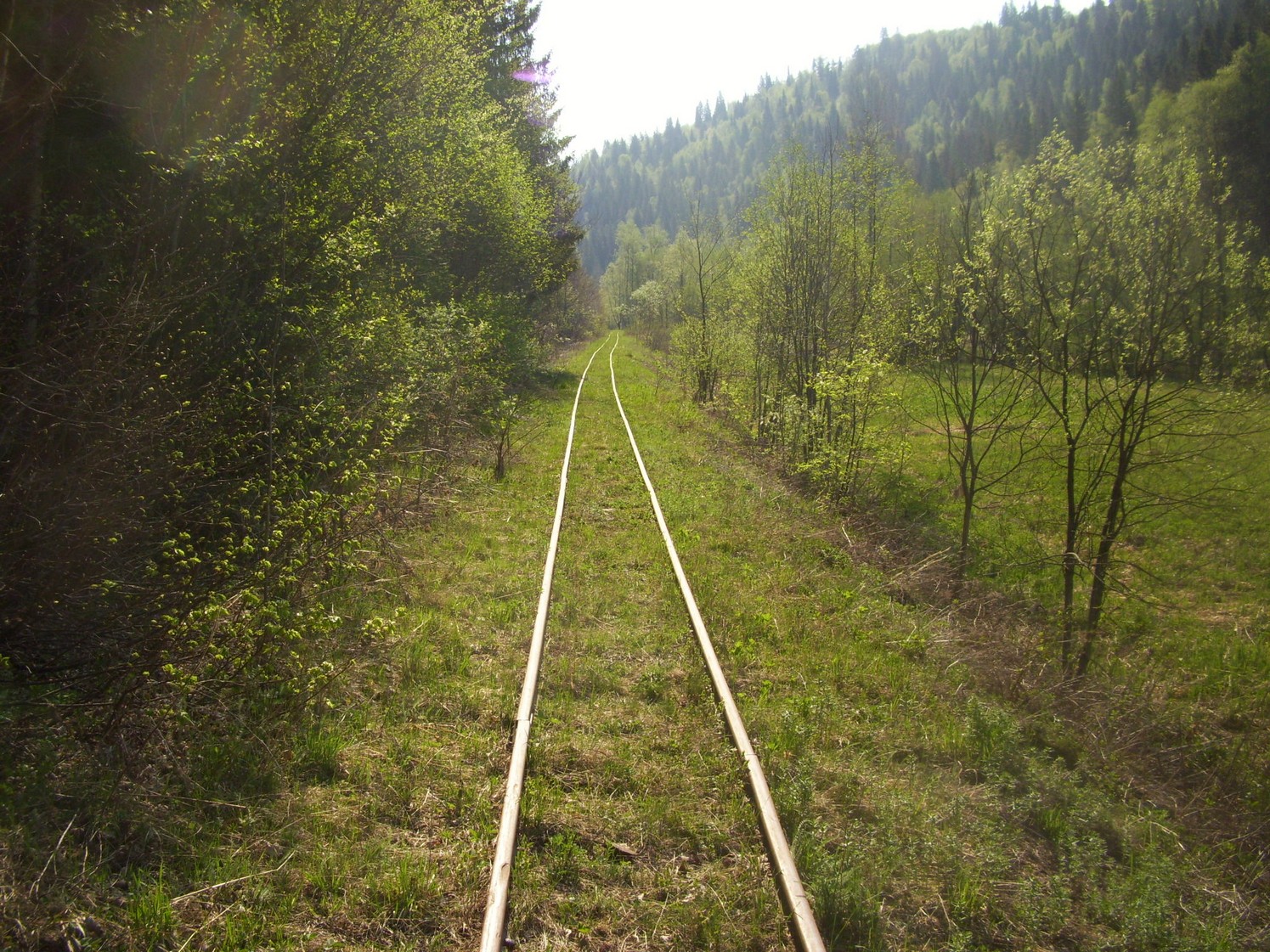 Яман-Елгинская узкоколейная железная дорога — фотографии, сделанные в 2010 году (часть 10)