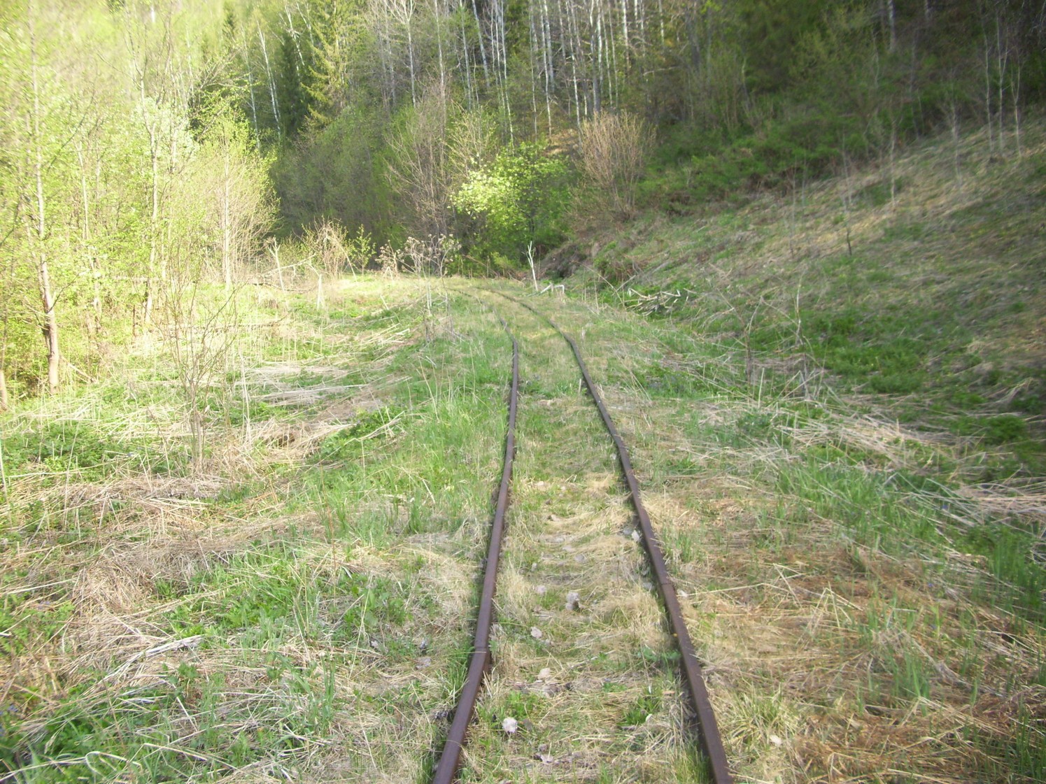 Яман-Елгинская узкоколейная железная дорога — фотографии, сделанные в 2010 году (часть 11)