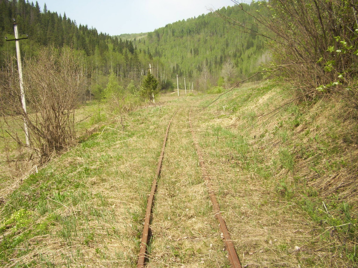 Яман-Елгинская узкоколейная железная дорога — фотографии, сделанные в 2010 году (часть 16)