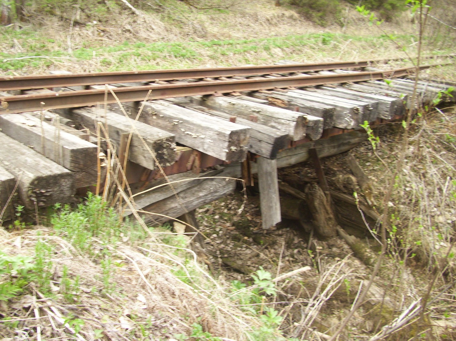 Яман-Елгинская узкоколейная железная дорога — фотографии, сделанные в 2010 году (часть 29)