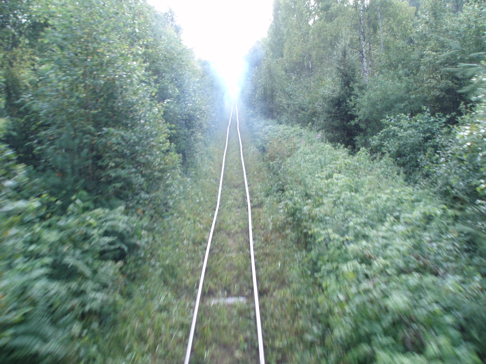 Узкоколейная железная дорога Кушаверского торфопредприятия  - фотографии (часть 06)