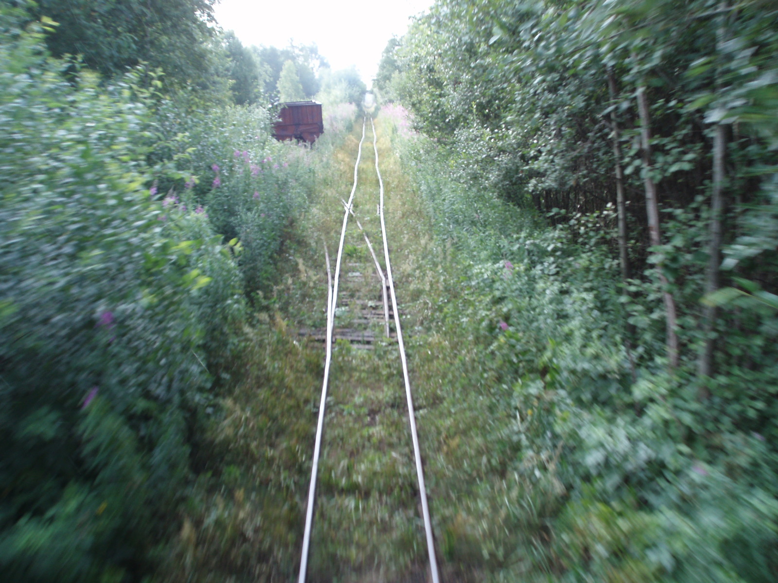 Узкоколейная железная дорога Кушаверского торфопредприятия  - фотографии (часть 7)