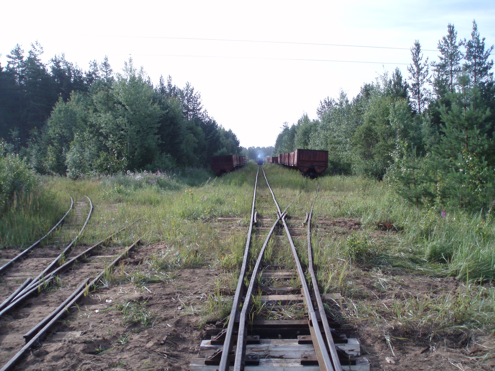 Узкоколейная железная дорога Кушаверского торфопредприятия  - фотографии (часть 8)