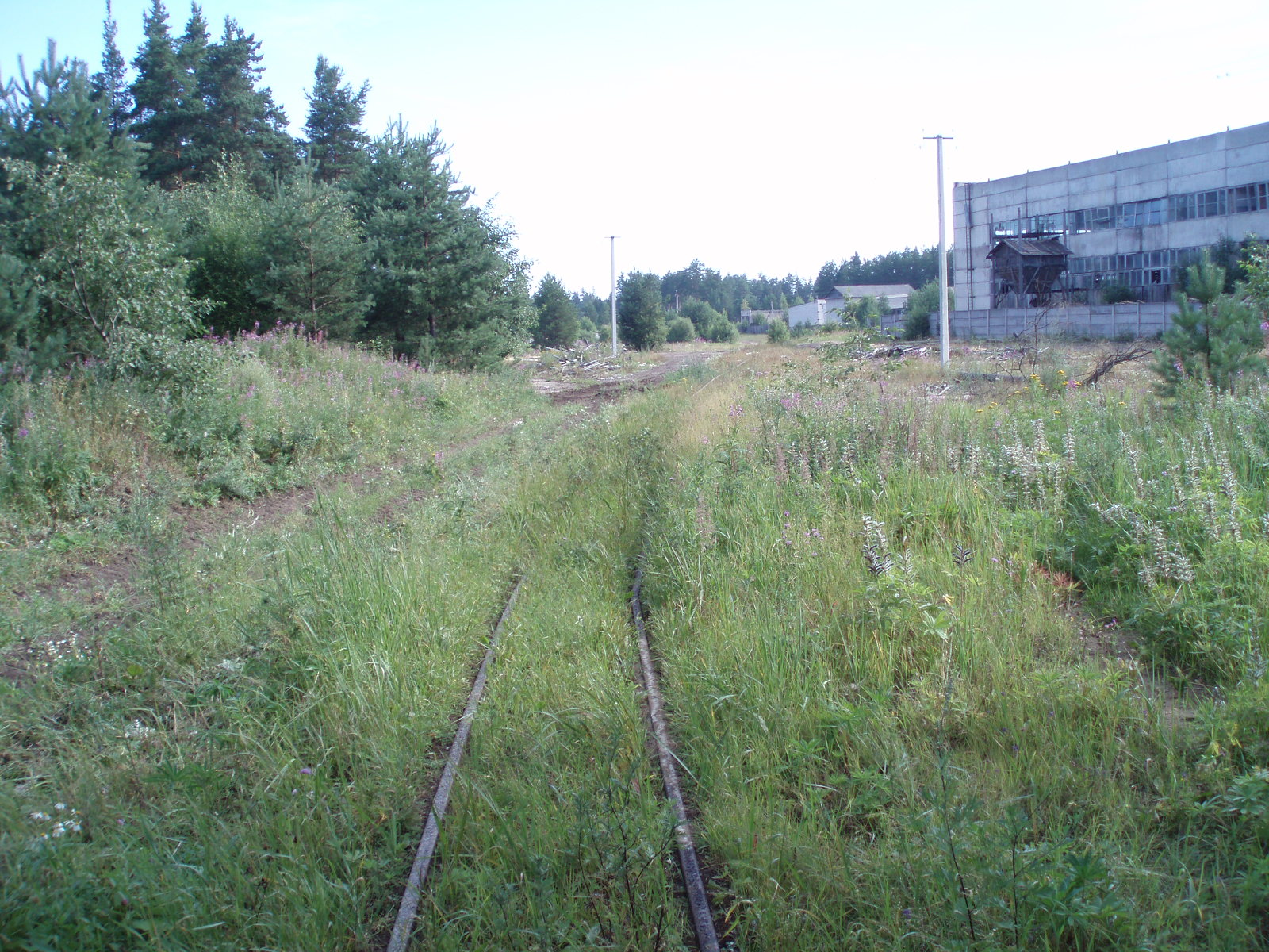 Узкоколейная железная дорога Кушаверского торфопредприятия  - фотографии (часть 9)