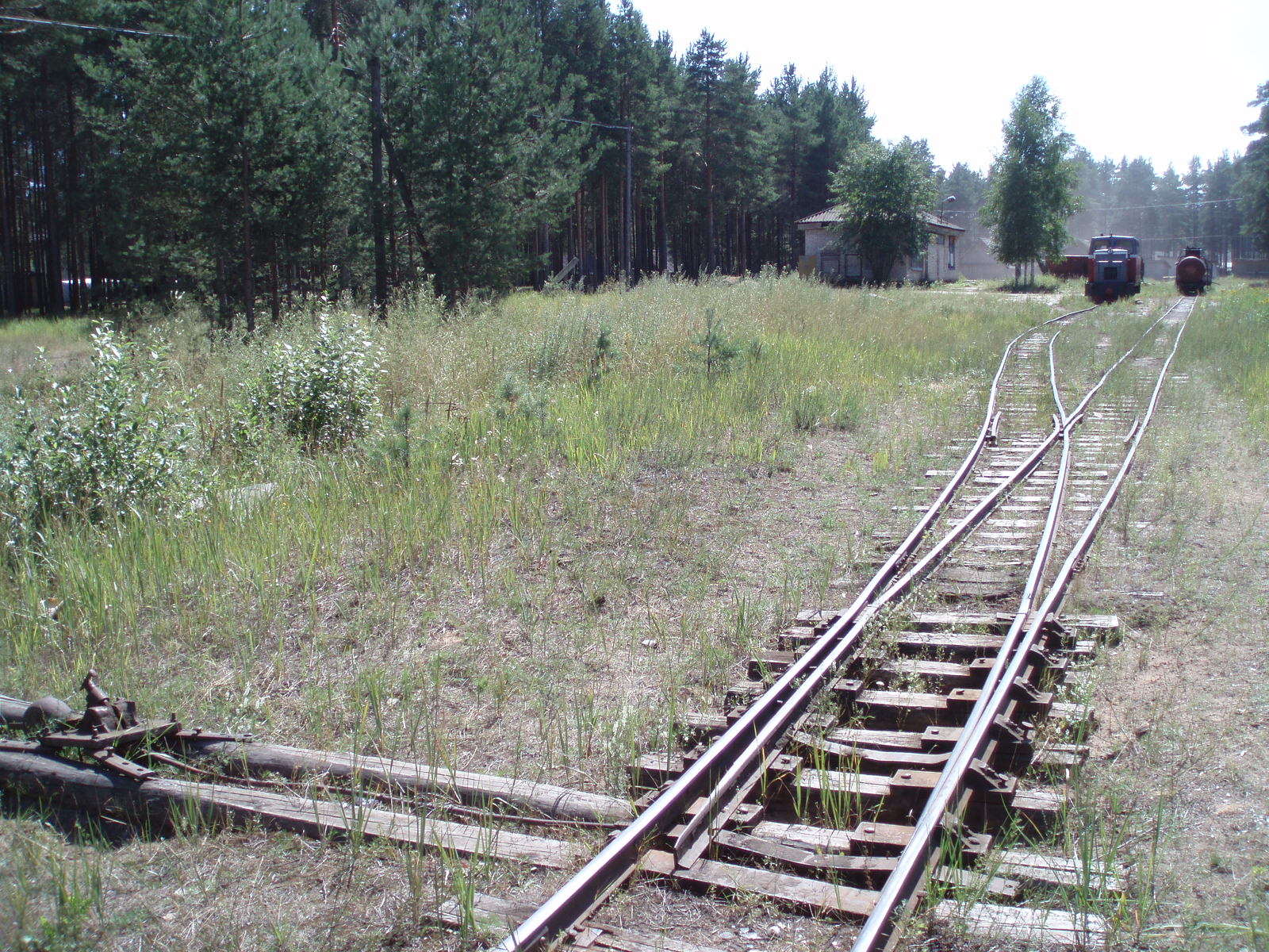 Узкоколейная железная дорога Кушаверского торфопредприятия  - фотографии (часть 10)