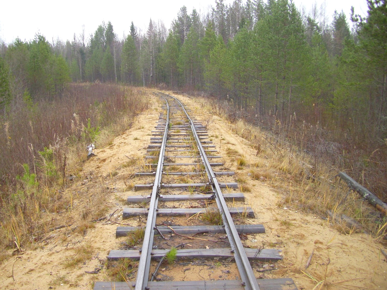 Дубровская узкоколейная железная дорога — фотографии, сделанные в 2009 году (часть 7)