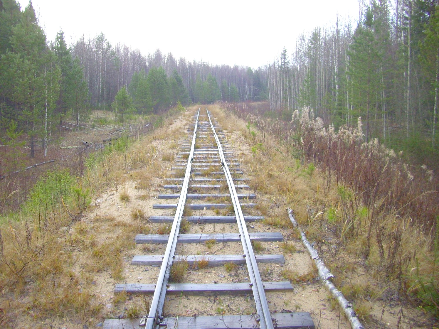 Дубровская узкоколейная железная дорога — фотографии, сделанные в 2009 году (часть 8)
