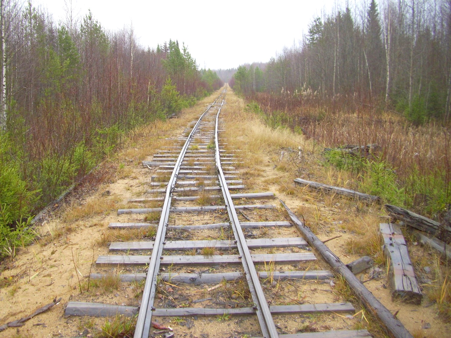 Дубровская узкоколейная железная дорога — фотографии, сделанные в 2009 году (часть 10)