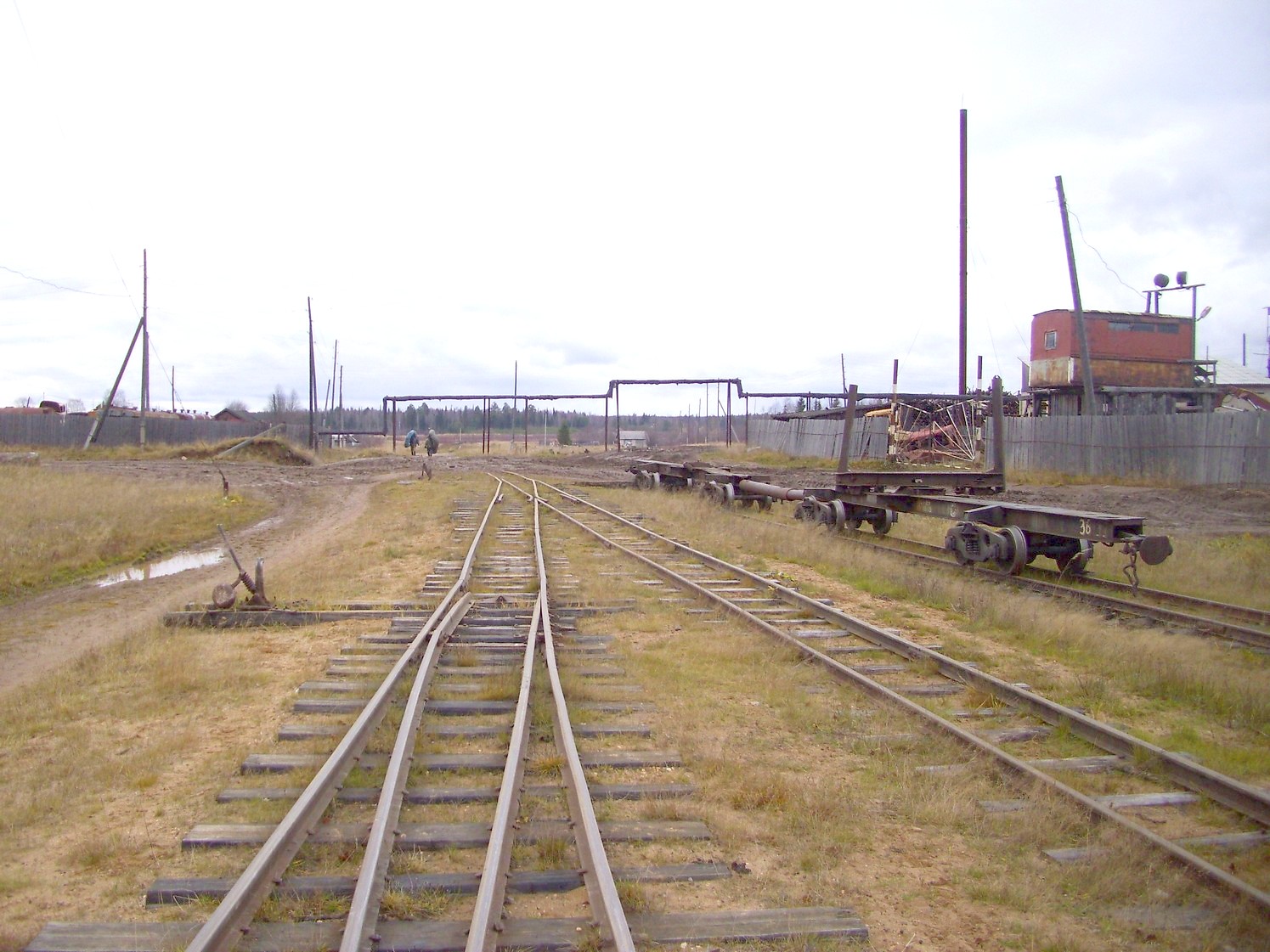 Дубровская узкоколейная железная дорога — фотографии, сделанные в 2009 году (часть 20)