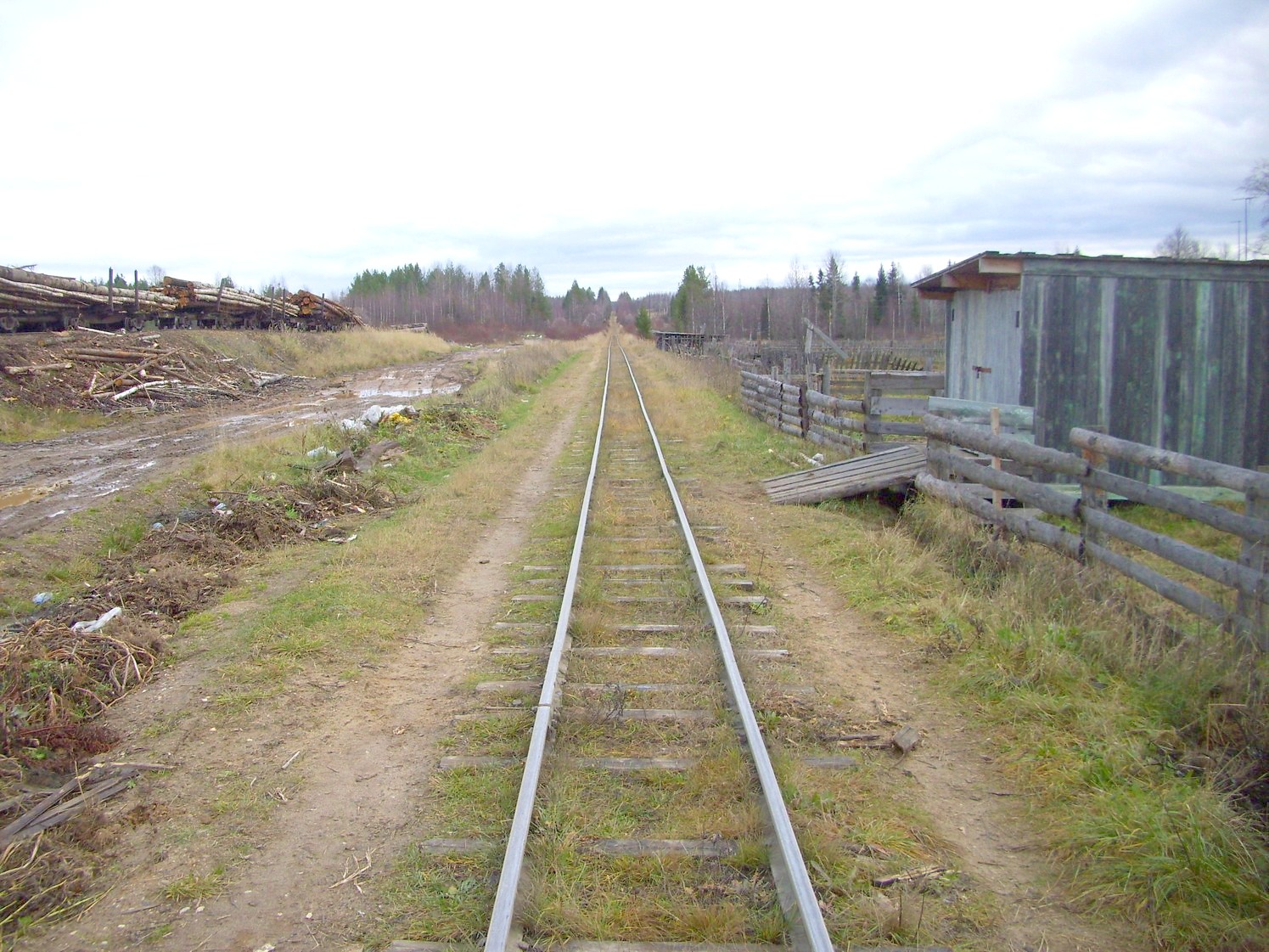 Дубровская узкоколейная железная дорога — фотографии, сделанные в 2009 году (часть 22)