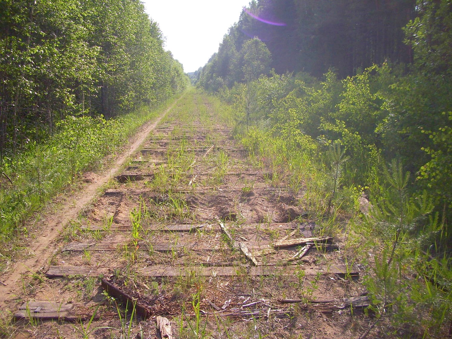 Железнодорожная линия Полпинская  —  Дудорево  —  фотографии, сделанные в 2011 году (часть 6)