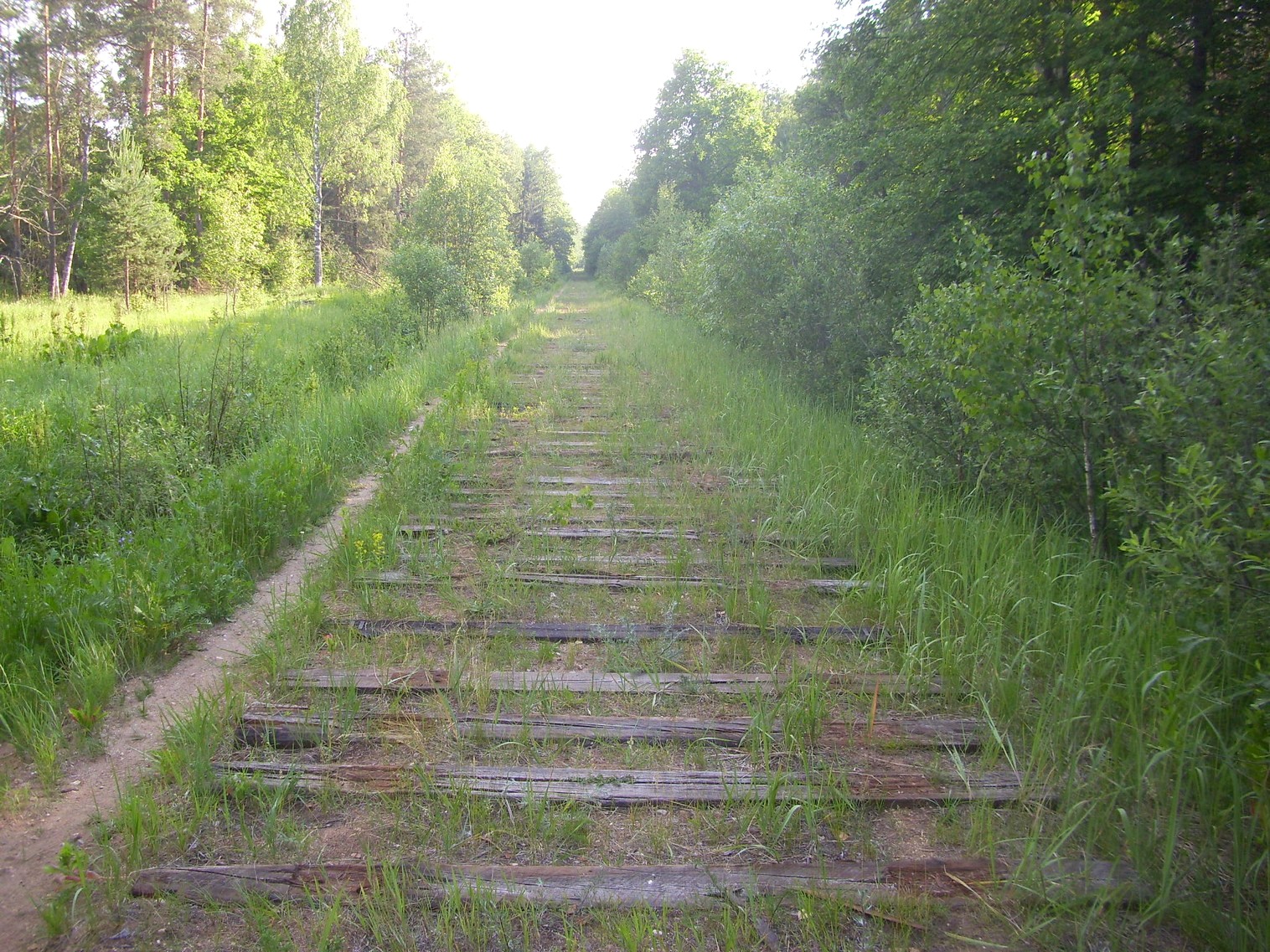 Железнодорожная линия Полпинская  —  Дудорево  —  фотографии, сделанные в 2011 году (часть 7)