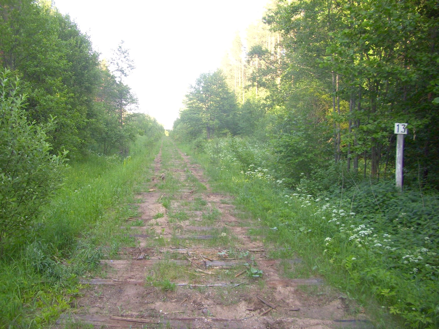 Железнодорожная линия Полпинская  —  Дудорево  —  фотографии, сделанные в 2011 году (часть 8)