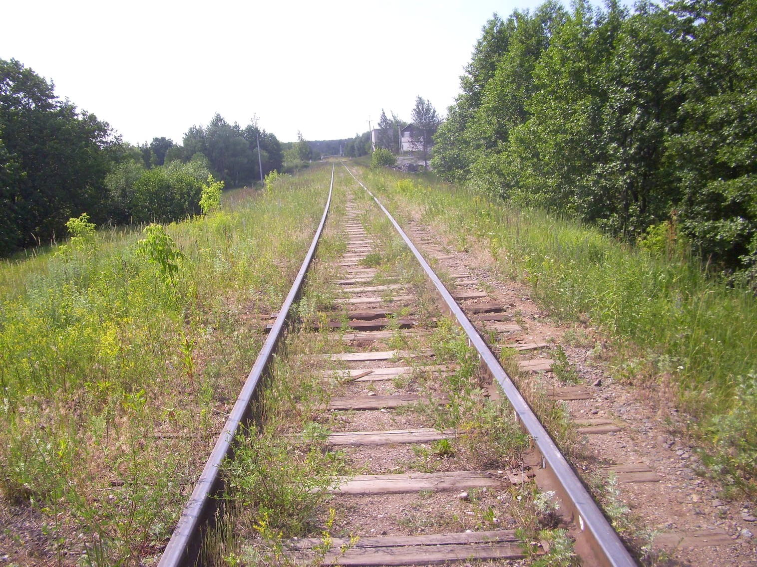 Железнодорожная линия Полпинская  —  Дудорево  —  фотографии, сделанные в 2011 году (часть 2)