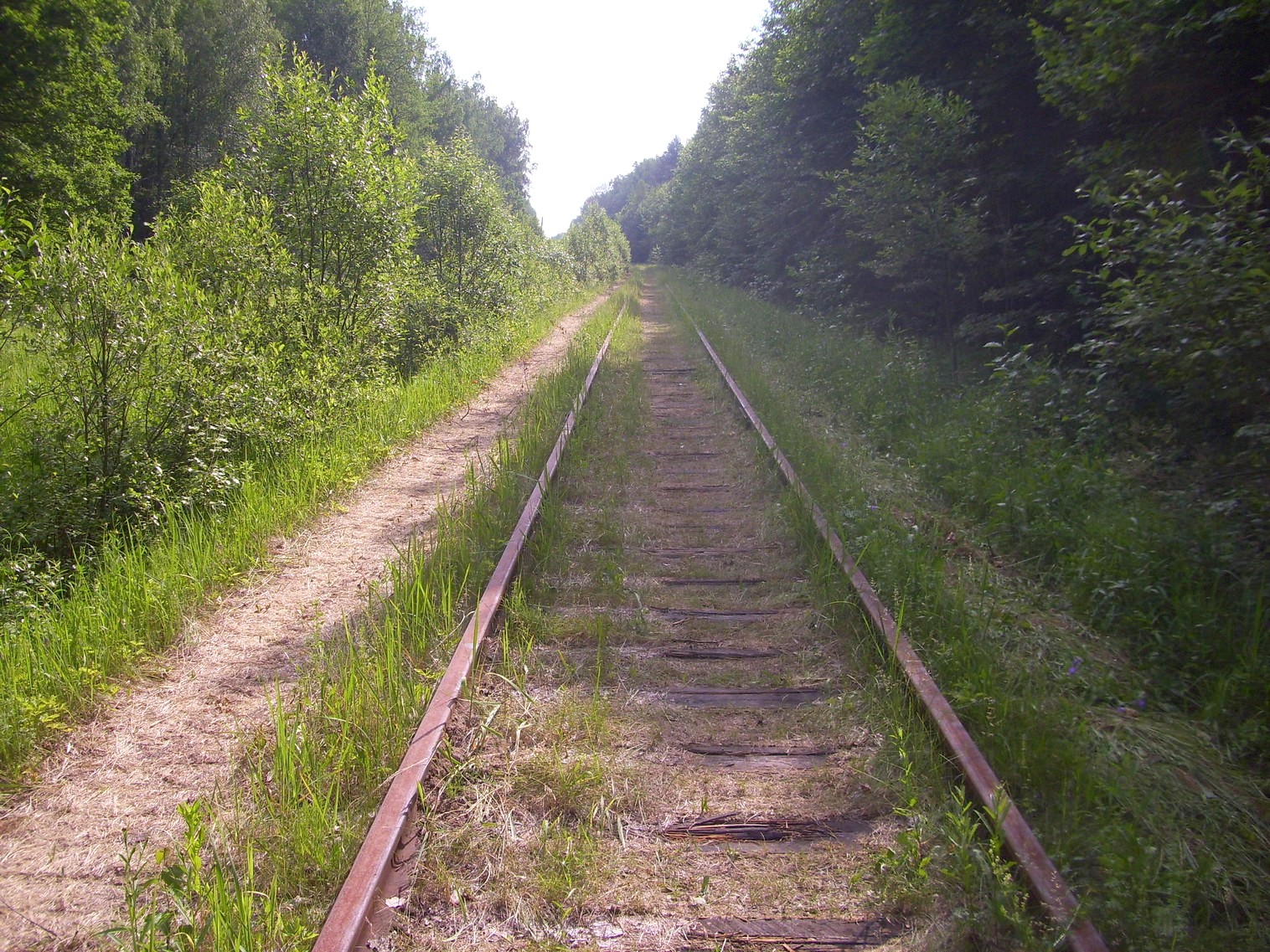 Железнодорожная линия Полпинская  —  Дудорево  —  фотографии, сделанные в 2011 году (часть 13)