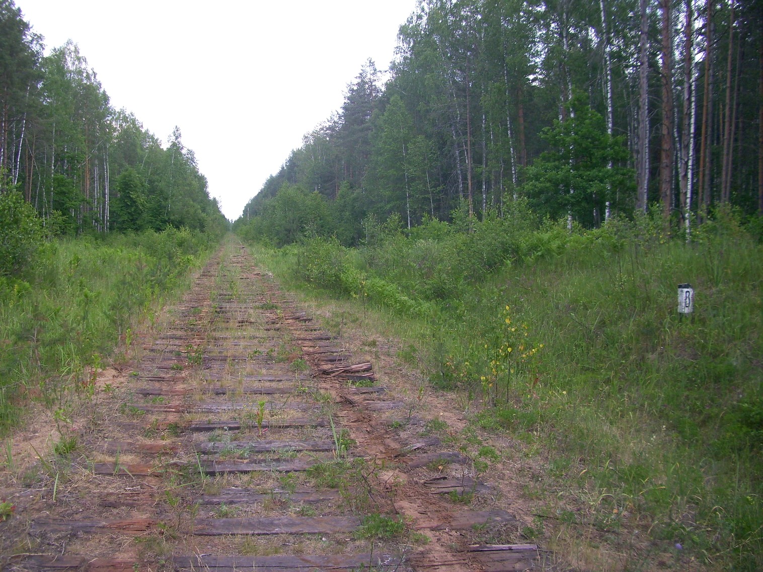 Железнодорожная линия Полпинская  —  Дудорево  —  фотографии, сделанные в 2011 году (часть 17)