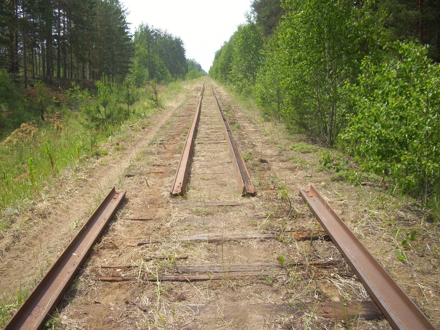 Железнодорожная линия Полпинская  —  Дудорево  —  фотографии, сделанные в 2011 году (часть 18)