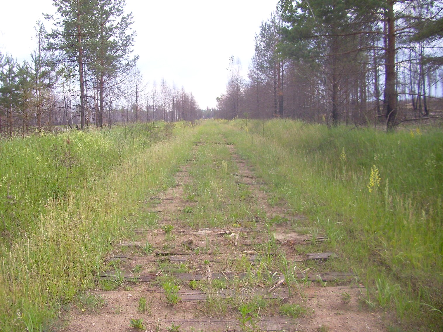 Железнодорожная линия Полпинская  —  Дудорево  —  фотографии, сделанные в 2011 году (часть 20)