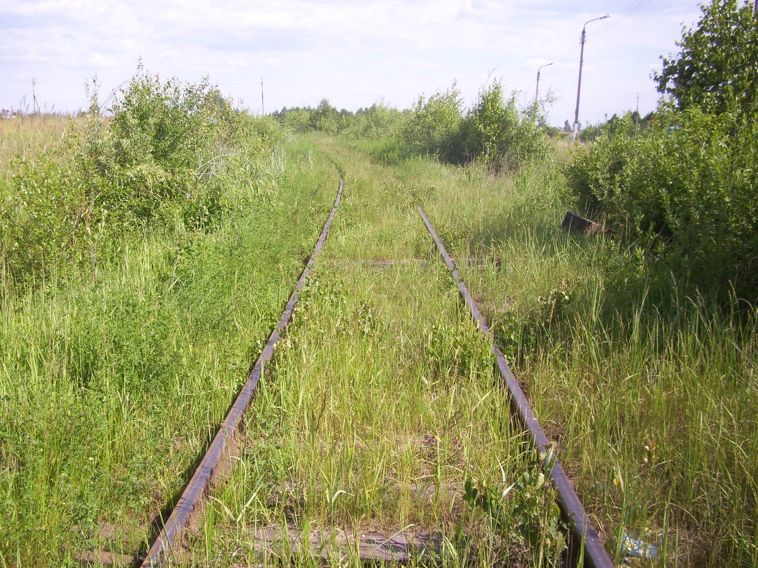 Железнодорожная линия Полпинская  —  Дудорево  —  фотографии, сделанные в 2011 году (часть 3)