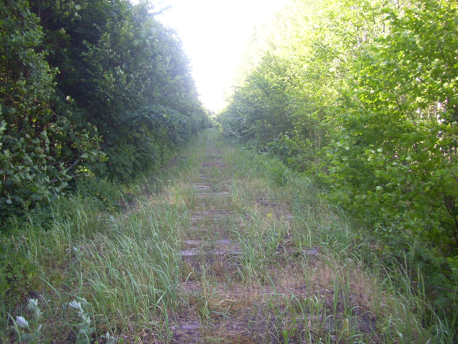 Железнодорожная линия Полпинская  —  Дудорево  —  фотографии, сделанные в 2011 году (часть 26)