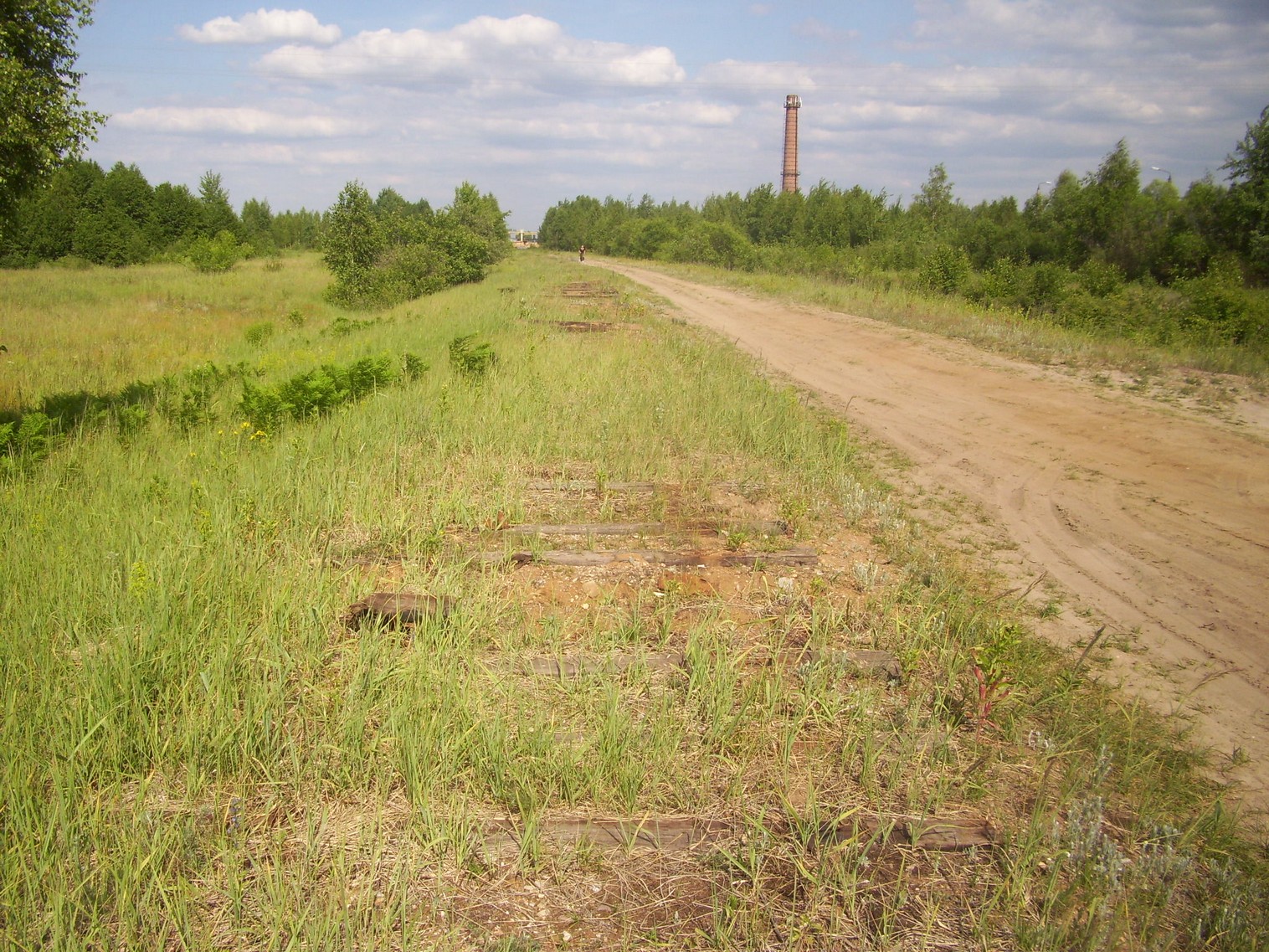 Железнодорожная линия Полпинская  —  Дудорево  —  фотографии, сделанные в 2011 году (часть 4)