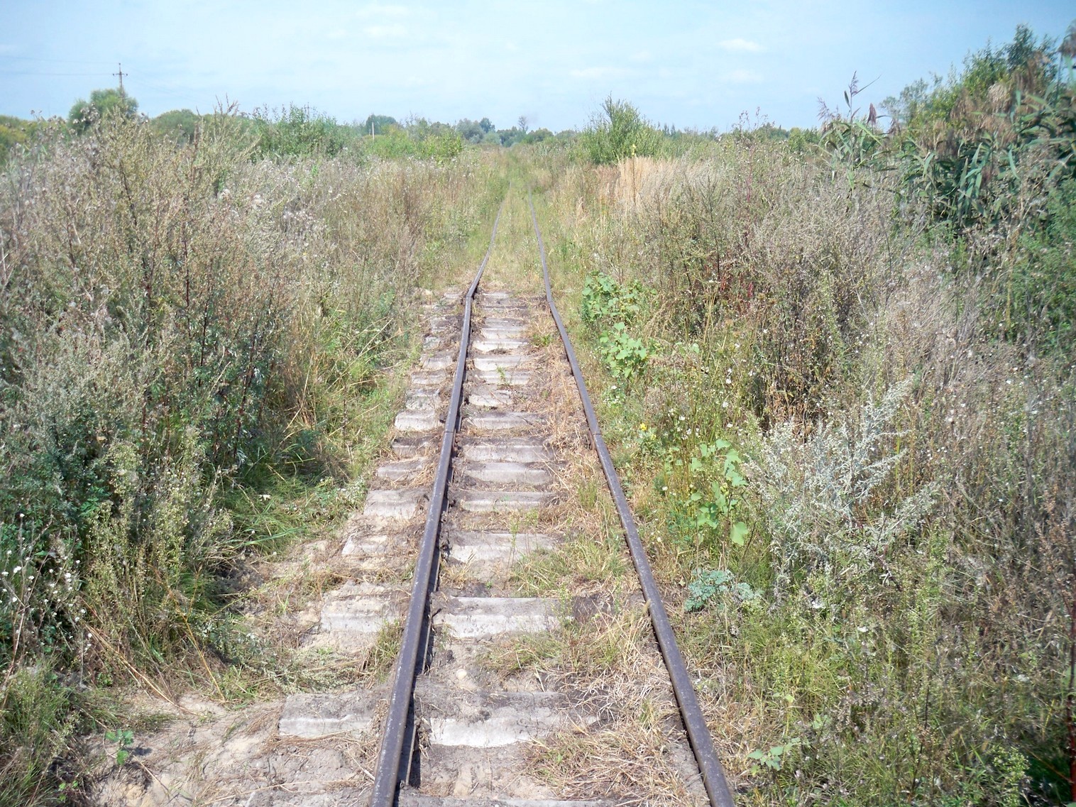 Узкоколейная  железная дорога Кобринского торфопредприятия  —  фотографии, сделанные в 2013 году (часть 6)
