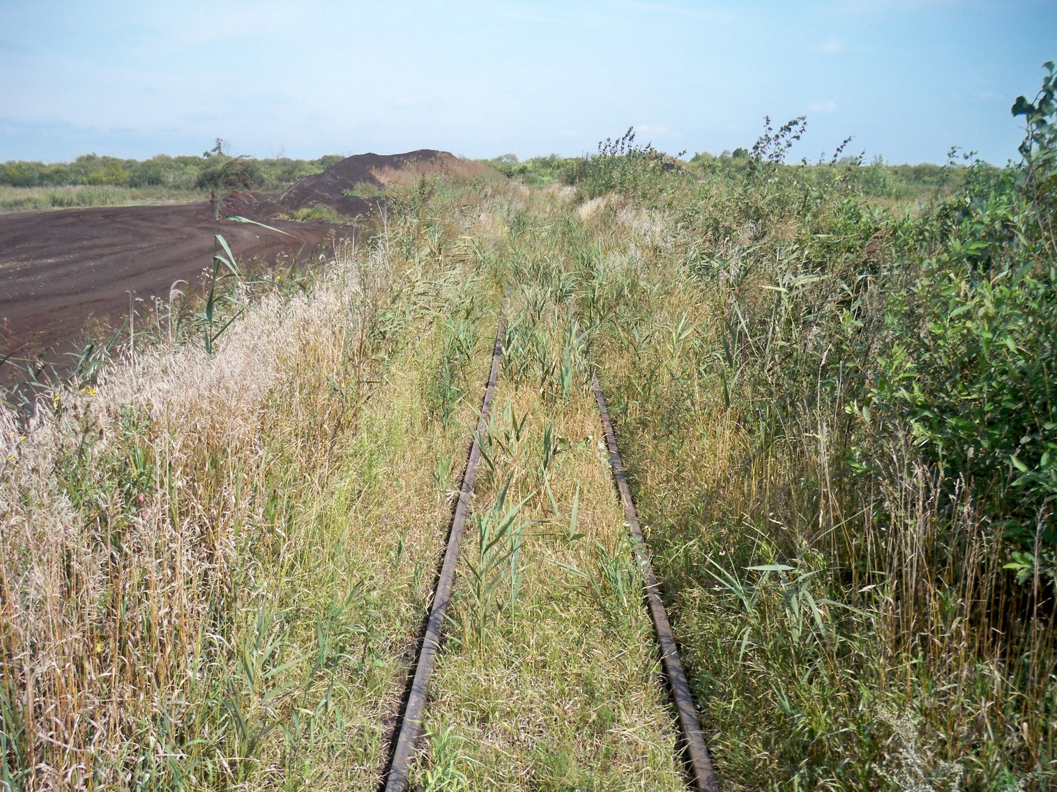 Узкоколейная  железная дорога Кобринского торфопредприятия  —  фотографии, сделанные в 2013 году (часть 4)