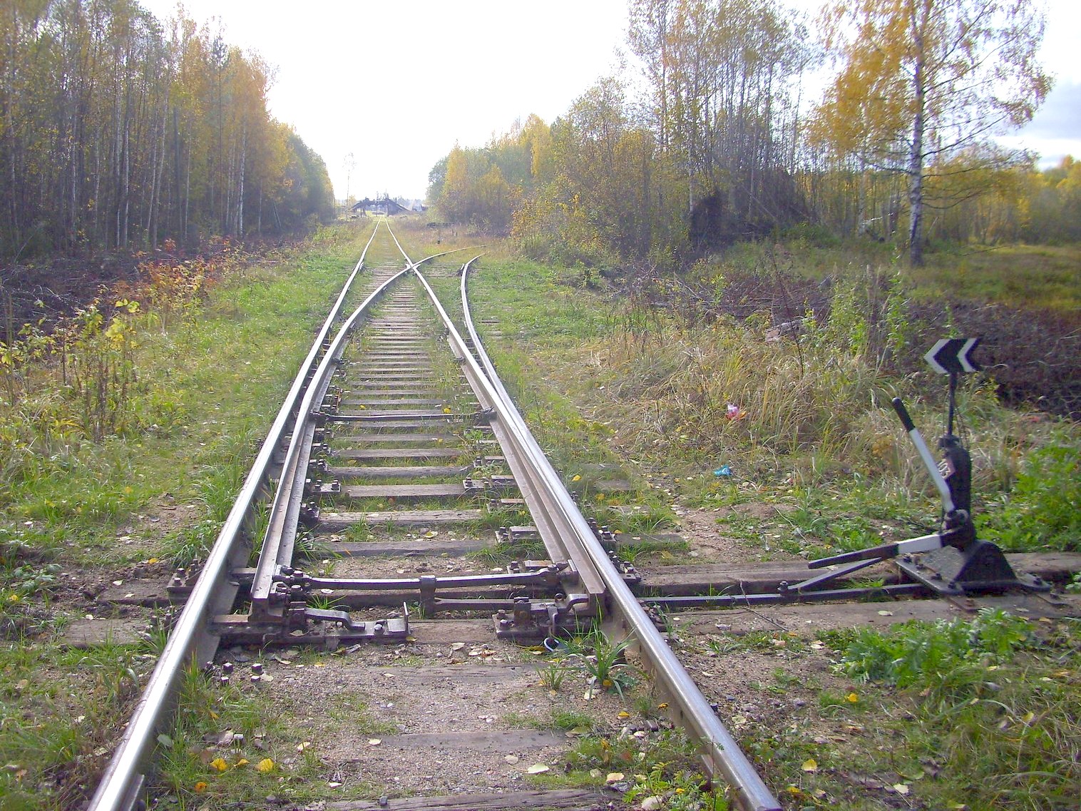 Узкоколейная  железная дорога Гороховского торфопредприятия  —  фотографии, сделанные в 2011 году (часть 1)