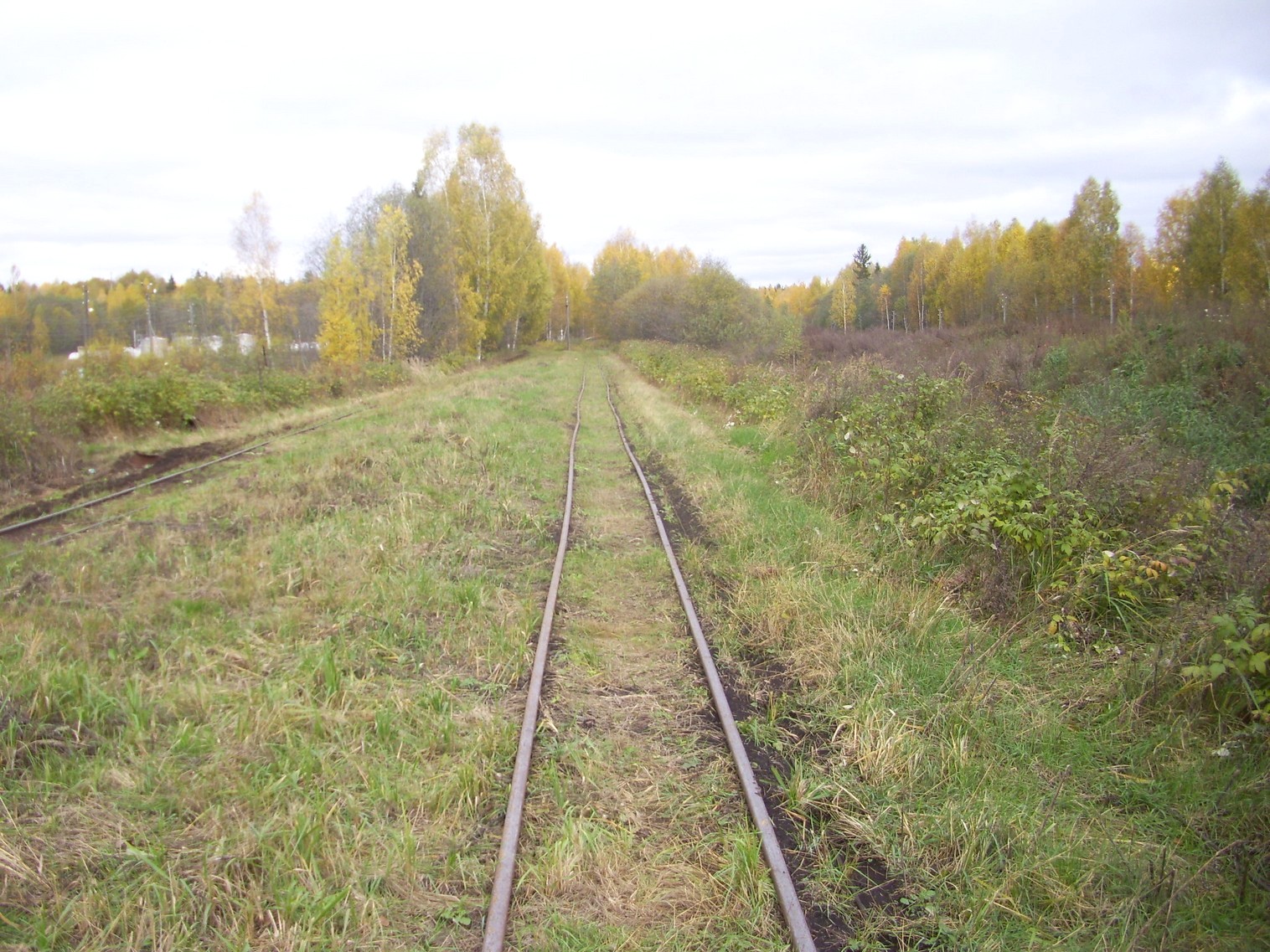 Узкоколейная  железная дорога Гороховского торфопредприятия  —  фотографии, сделанные в 2011 году (часть 2)