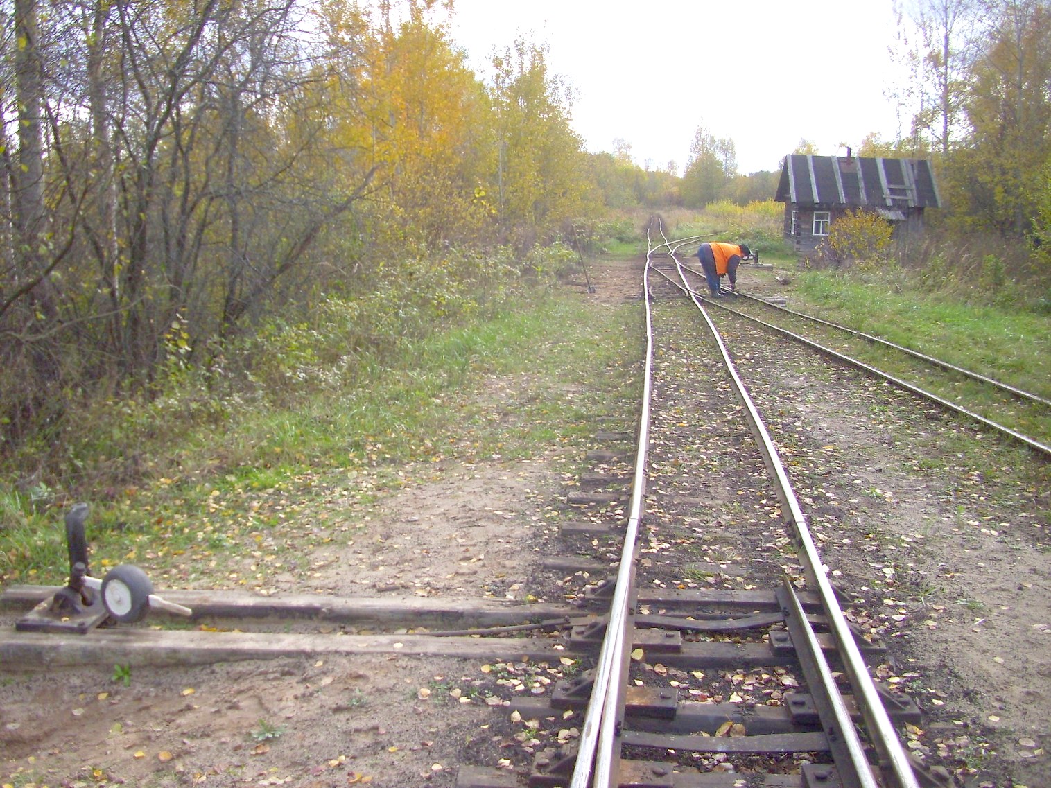 Узкоколейная  железная дорога Гороховского торфопредприятия  —  фотографии, сделанные в 2011 году (часть 4)